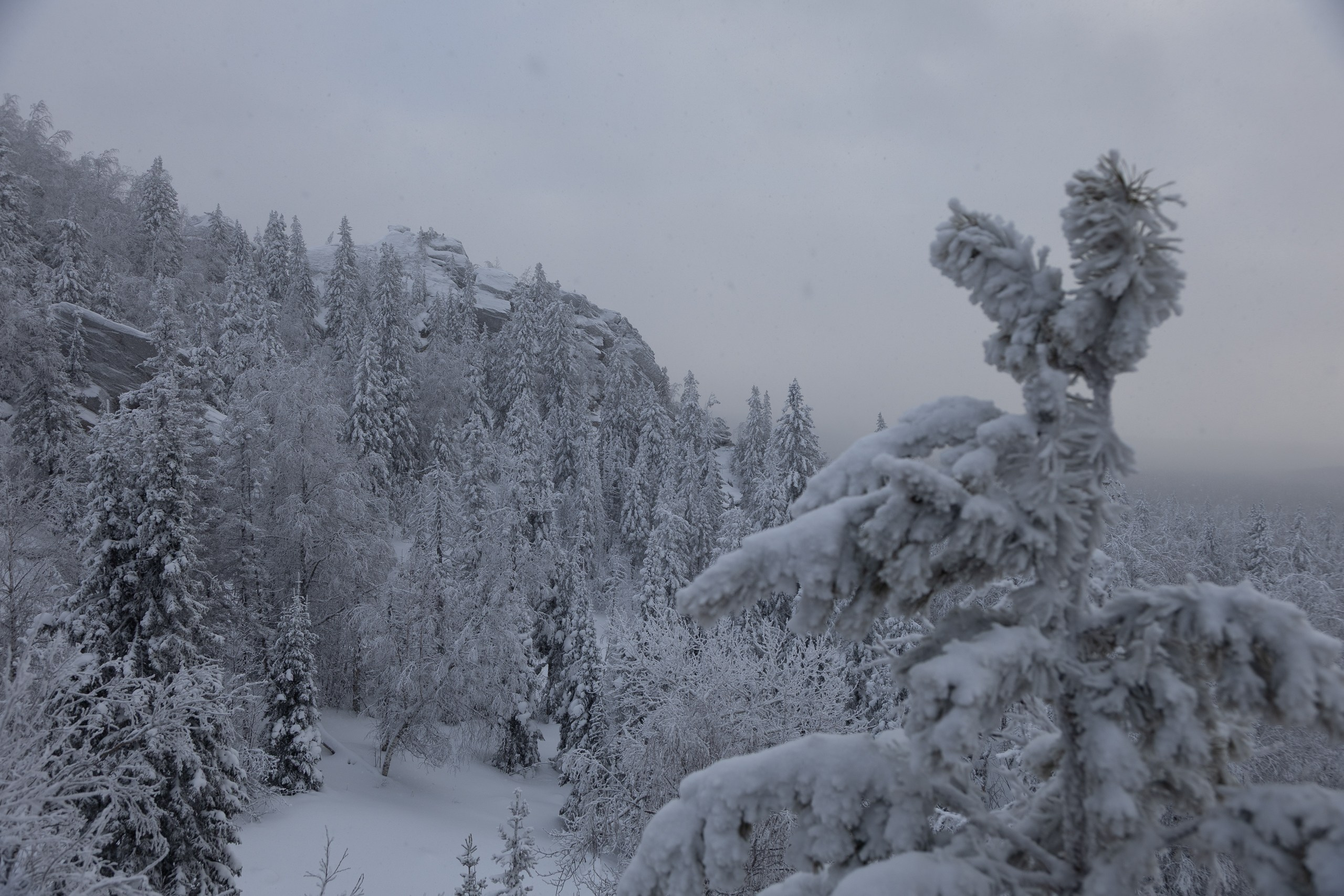 Черная скала. Sandman Realm