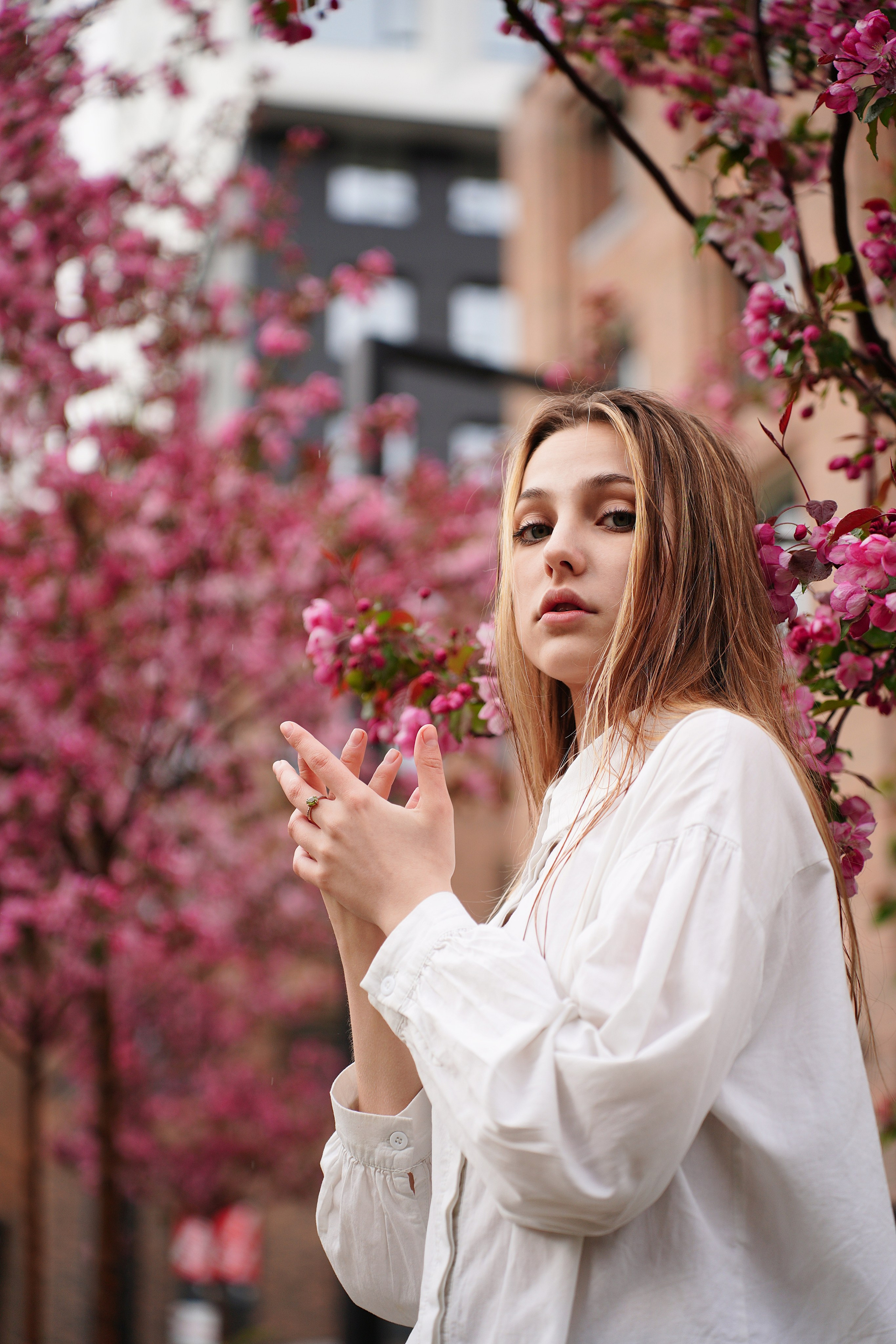 Оля Башкирская Сакура. Pupov.png