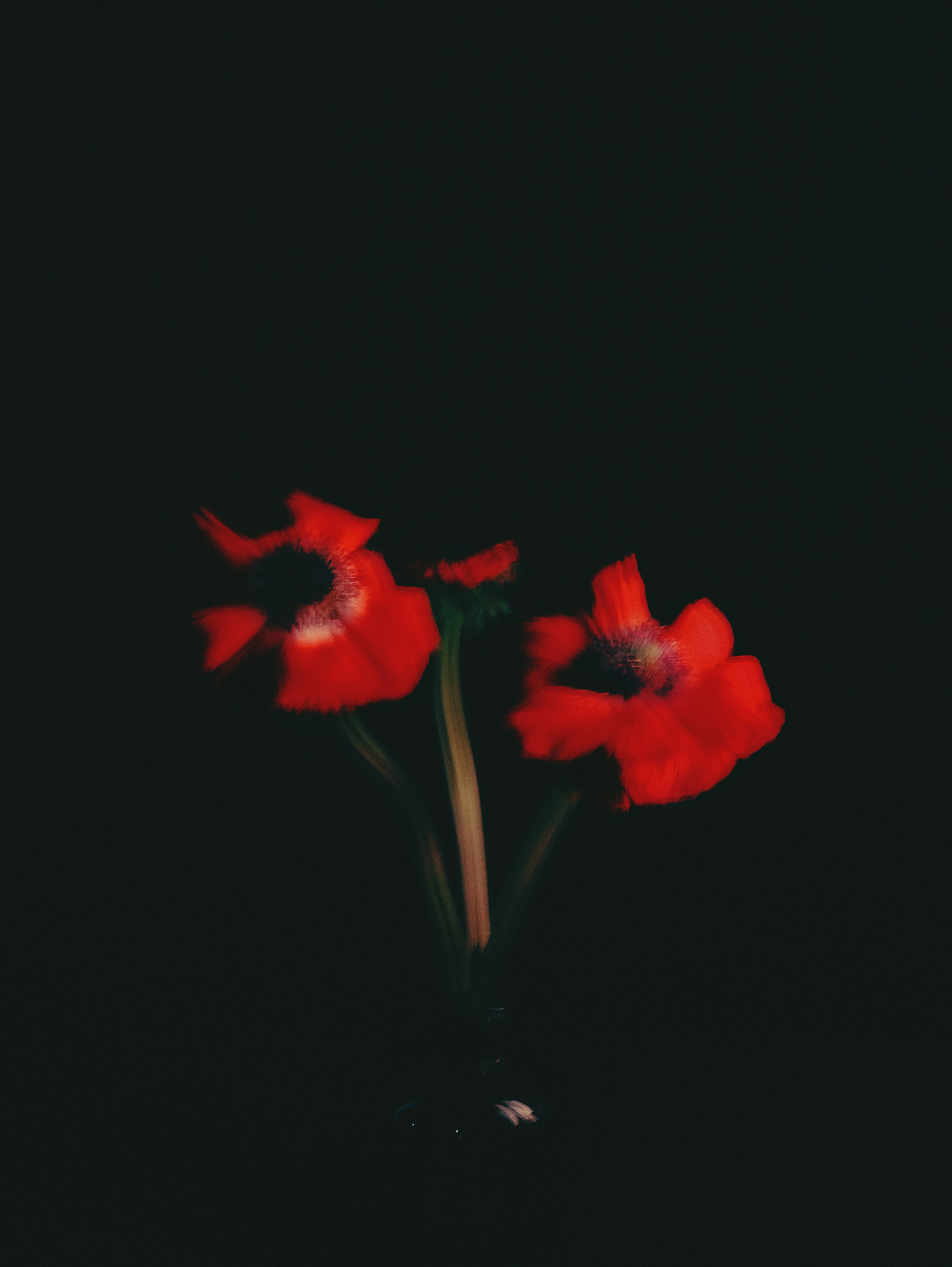 Природа &. Фотохудожник в СПб