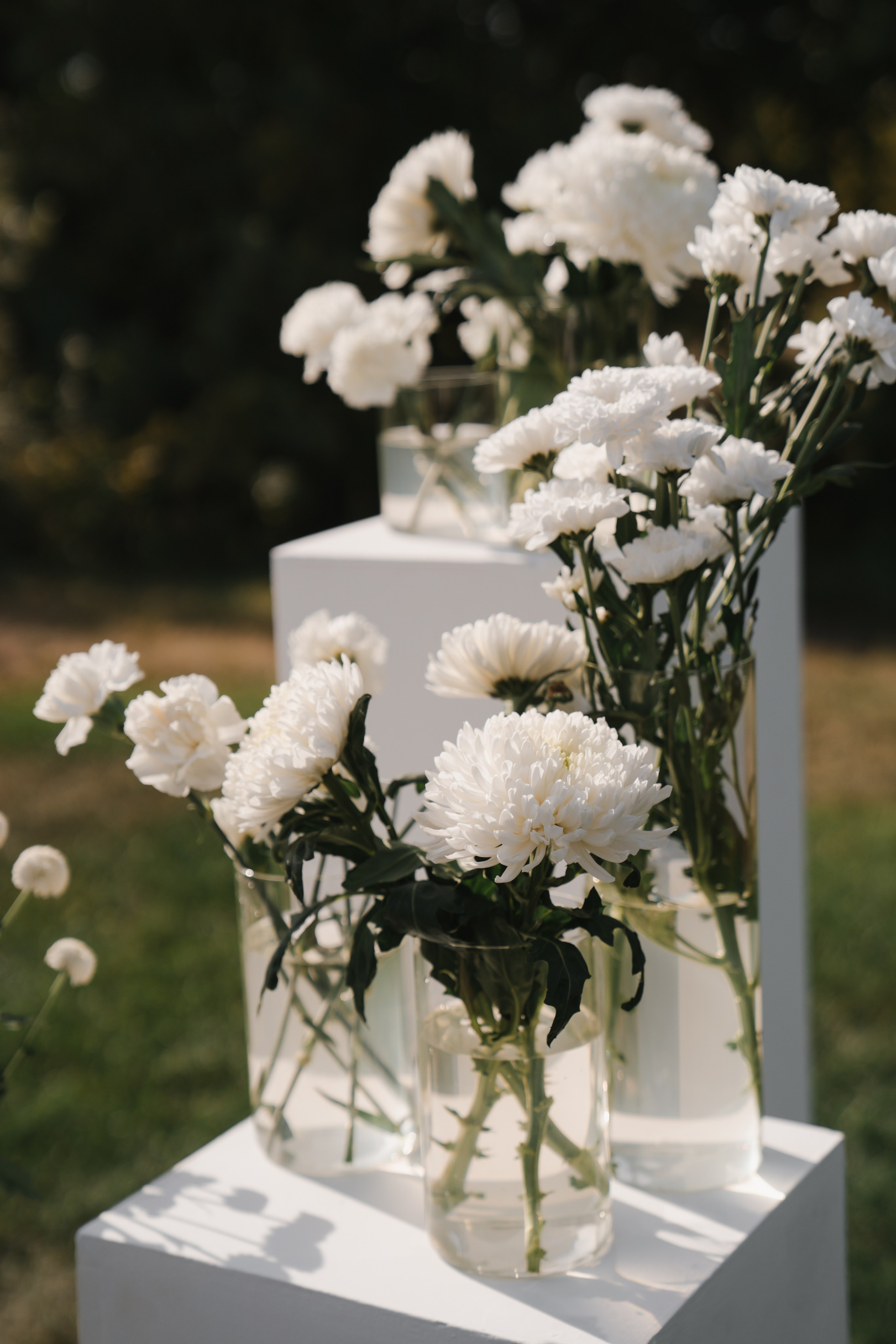 Александр и Анастасия. Свадебный фотограф Воронеж Марина Грудинина