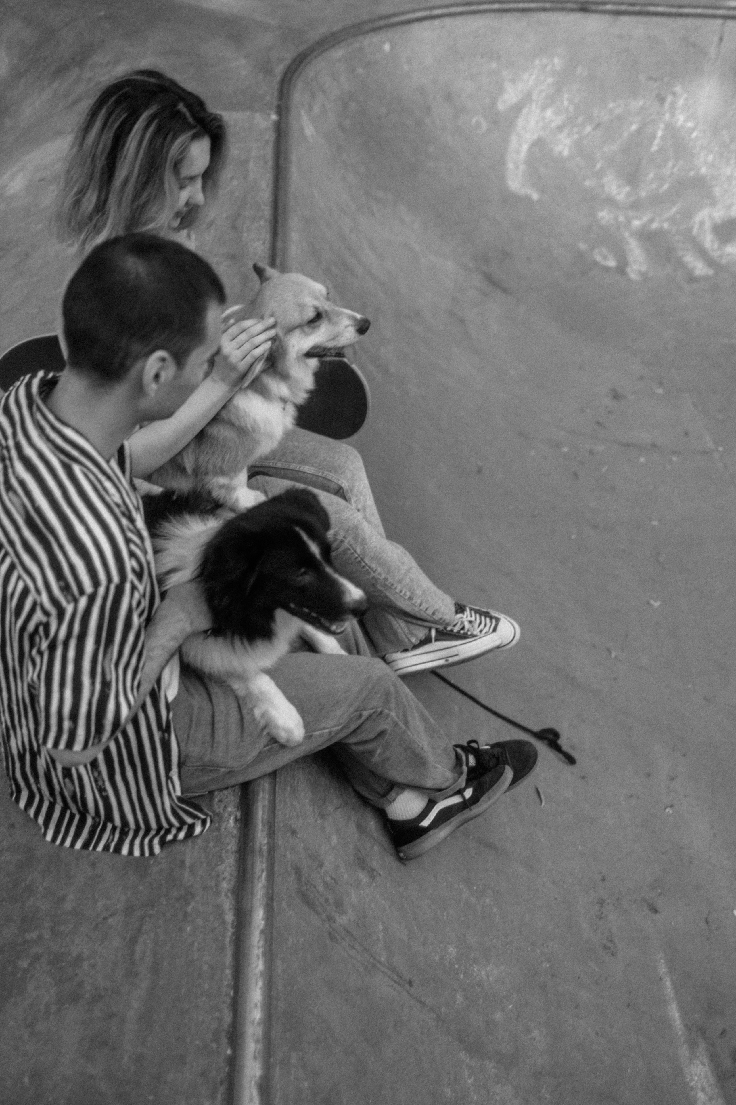 Брюс, Вейв и их ро. Фотораф — анималист Мария Шистка