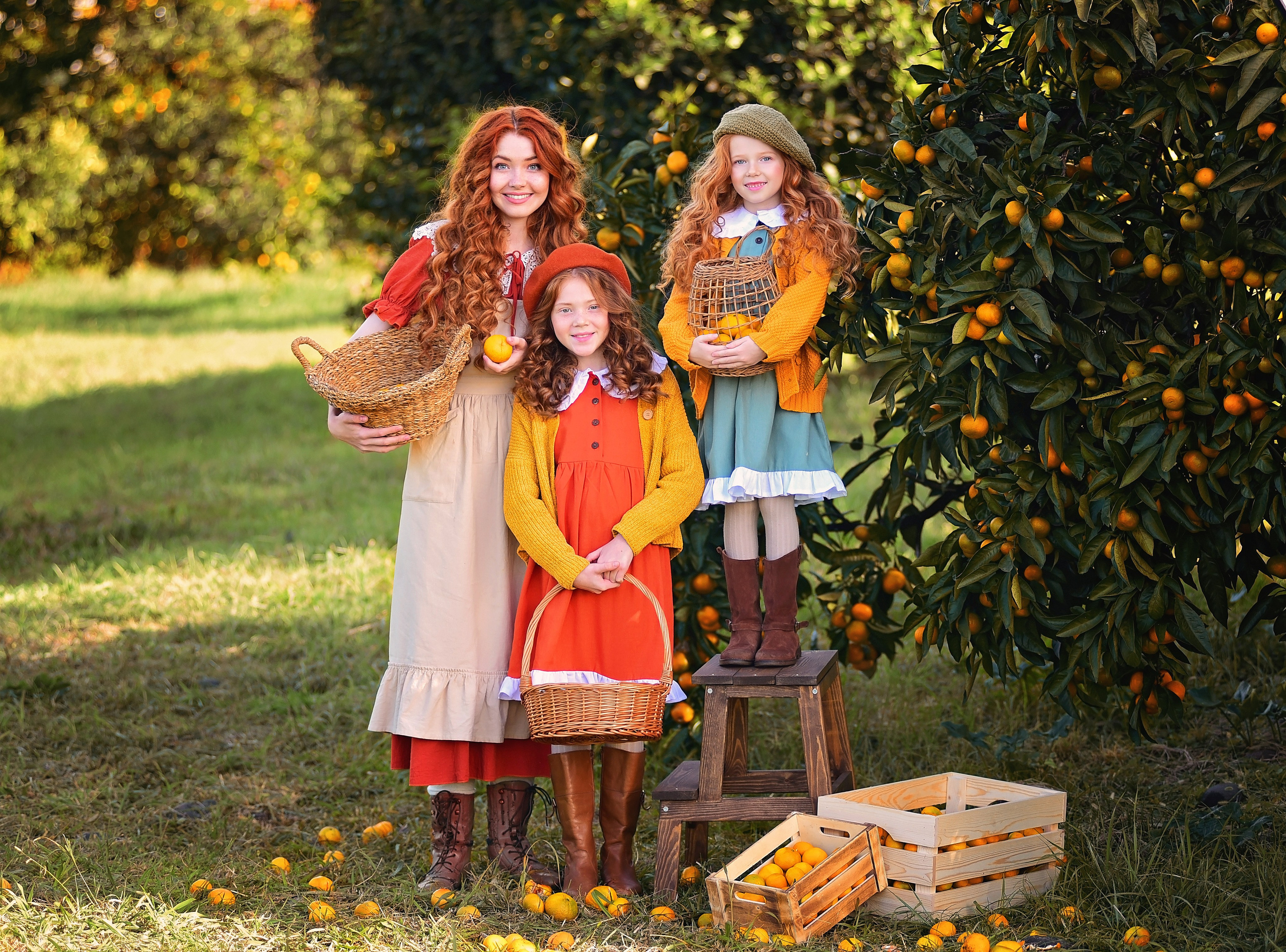 Мандарины. Главная