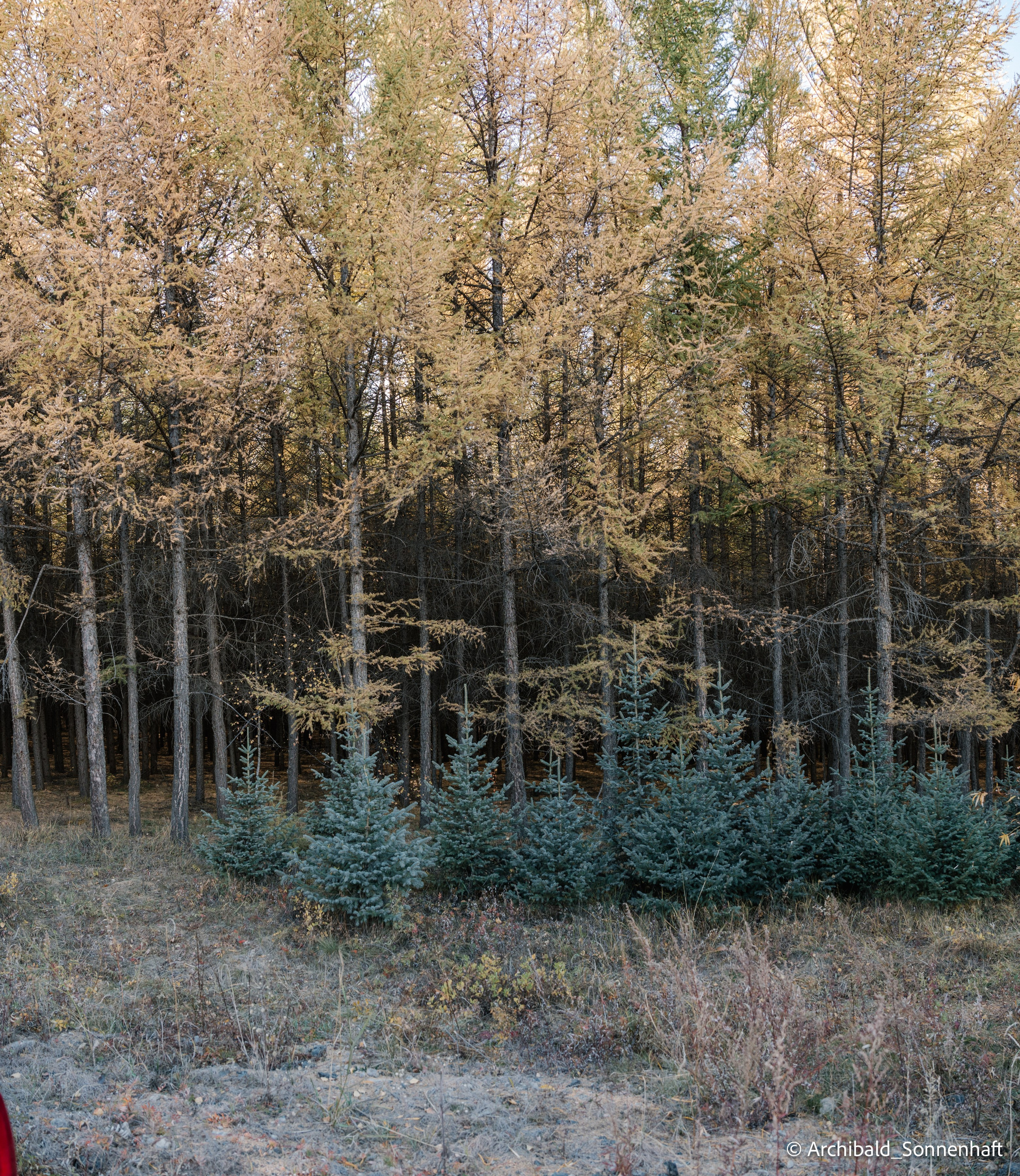 Inner mongolia. Photographer in Guangzhou, China. Archibald Sonnenhaft