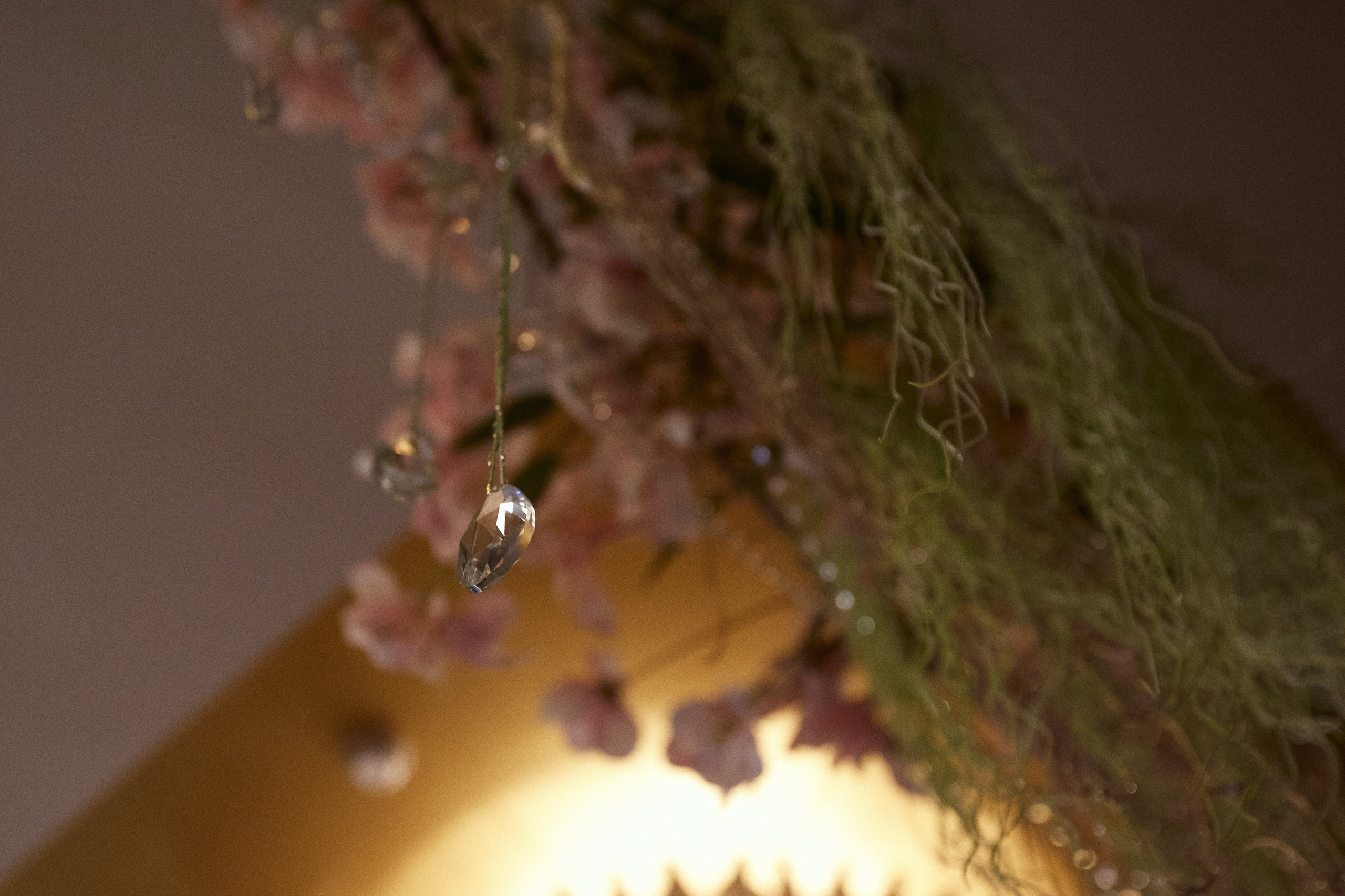 AMUR — 8 МАРТА. СВОИ. ФОТООТЧЕТЫ-СОБЫТИЯ-МЕСТА