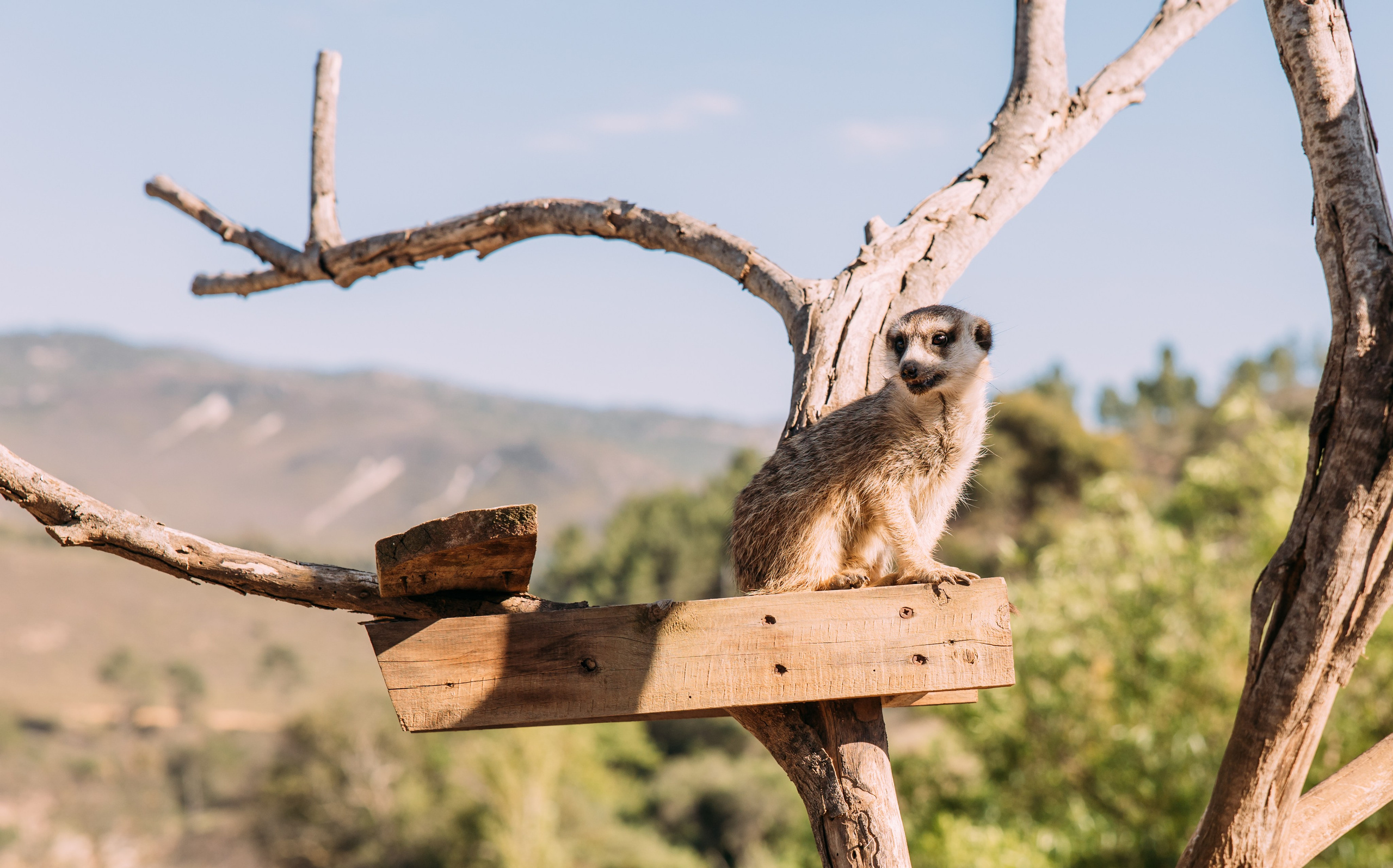 ФОТО ТУРЫ ПО МИРУ. Фотограф Марина Аблаева-Кожедуб