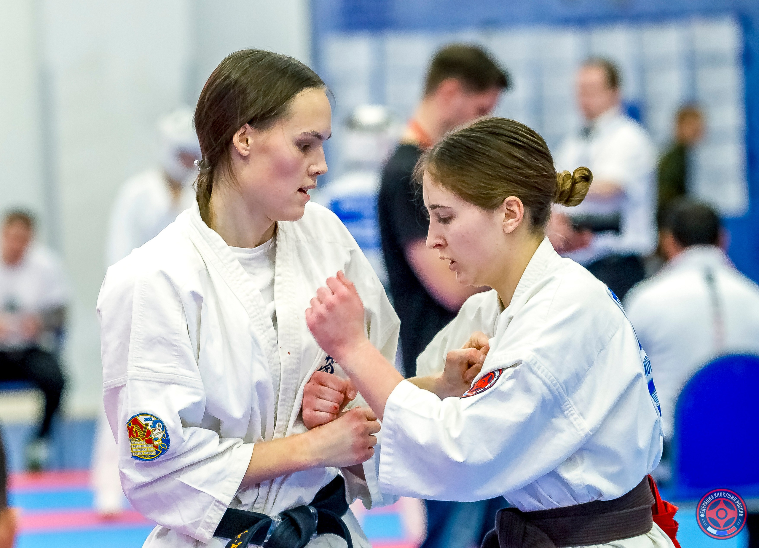 Международный турнир по киокушин «Открытый кубок Seiken». Репортажная съемка в Москве и области. Анималистика