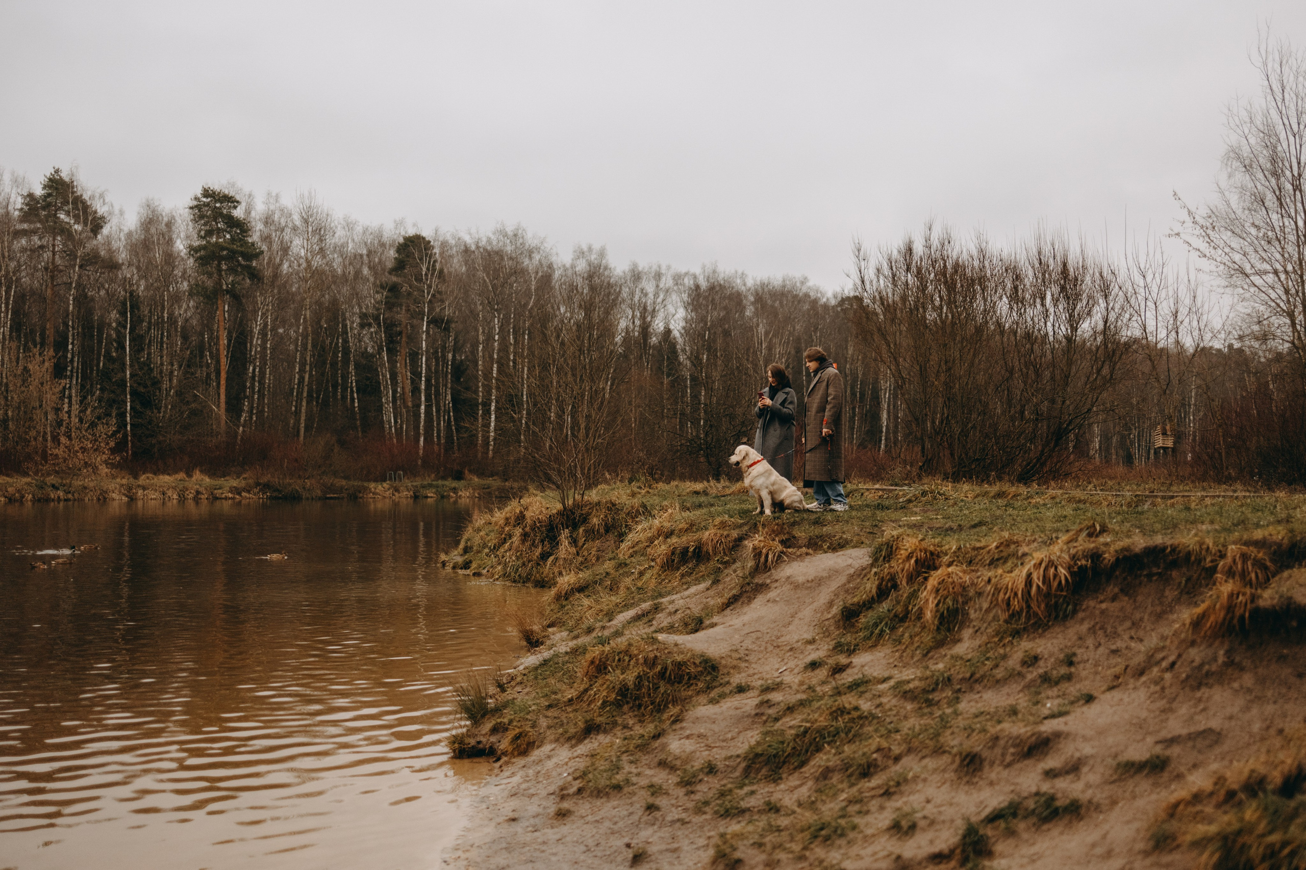 Лаки и его семья. Фотограф — Анималист | Санкт-Петербург