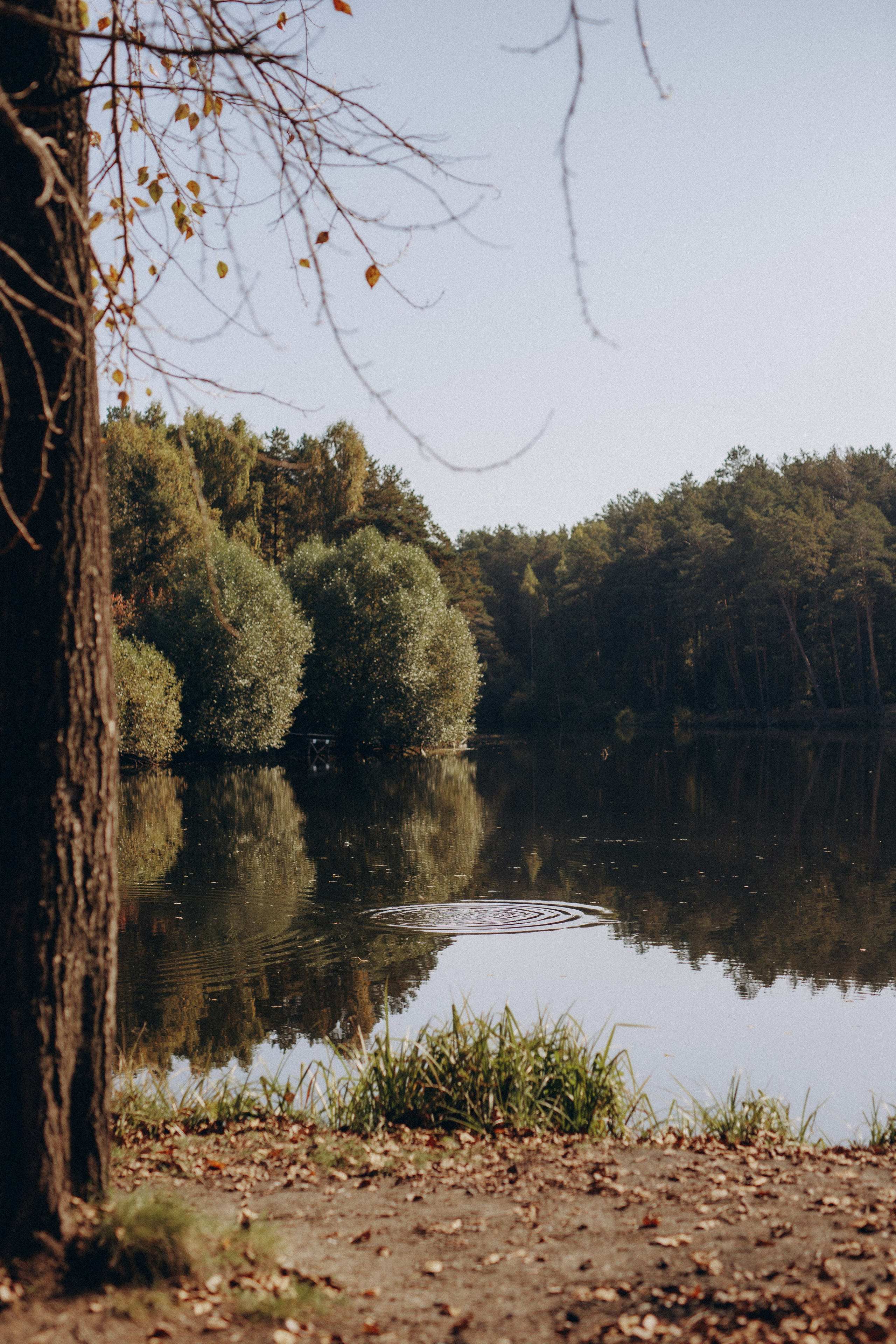 Елена и семья. Фотограф Анастасия Петрова
