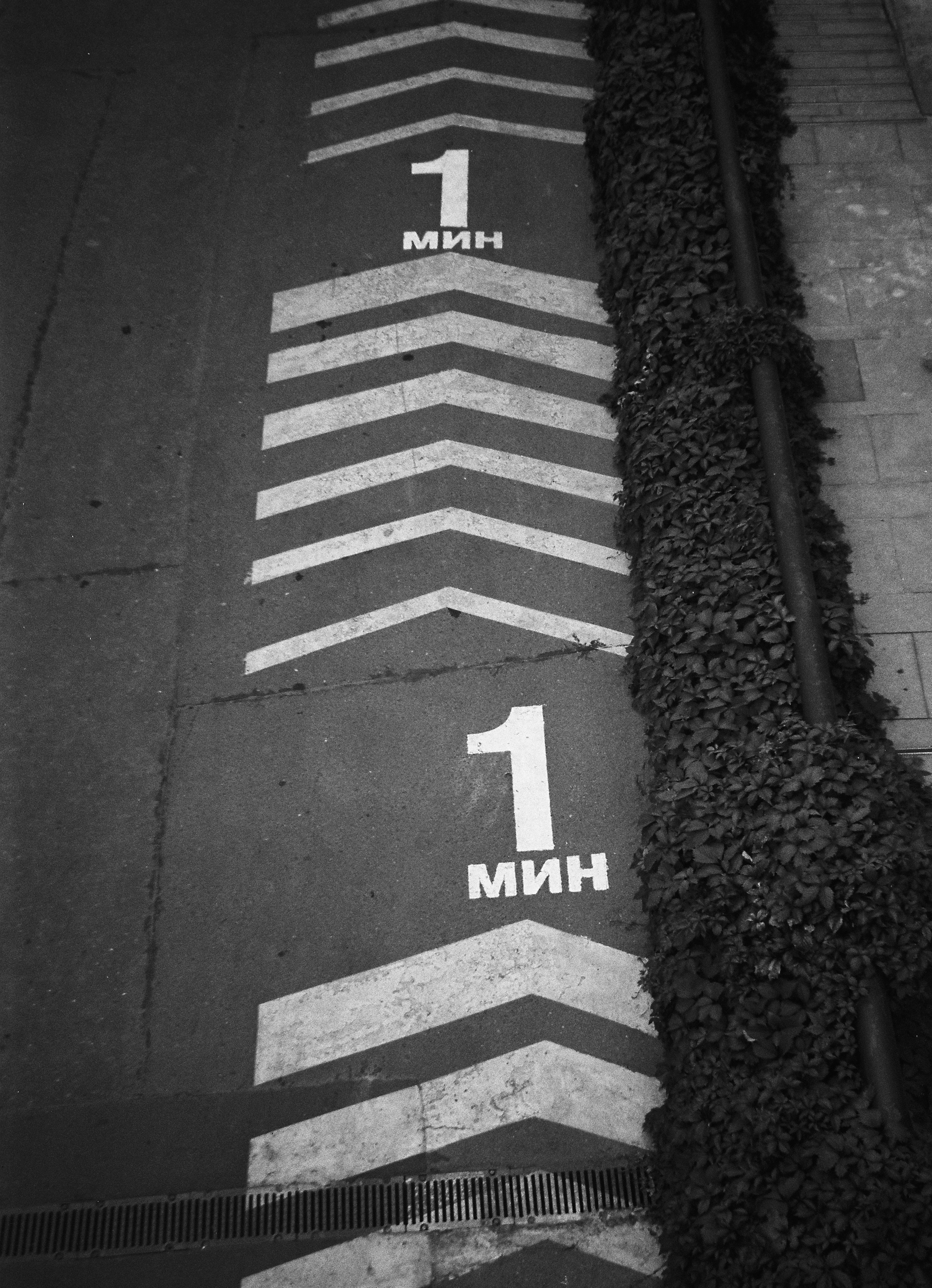 Графическое изображение снятое на фотопленку