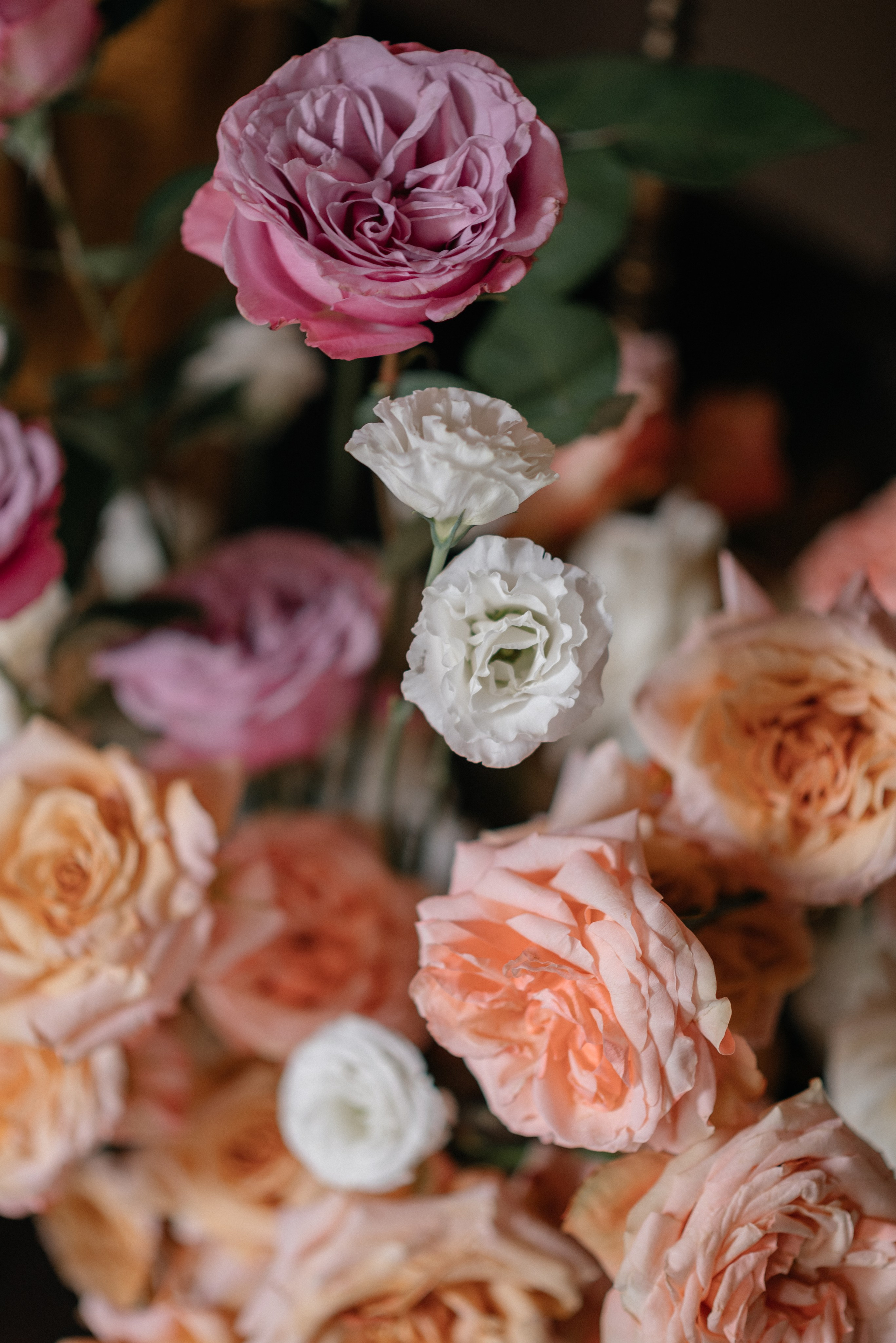 Style and beauty in Italy. Главная