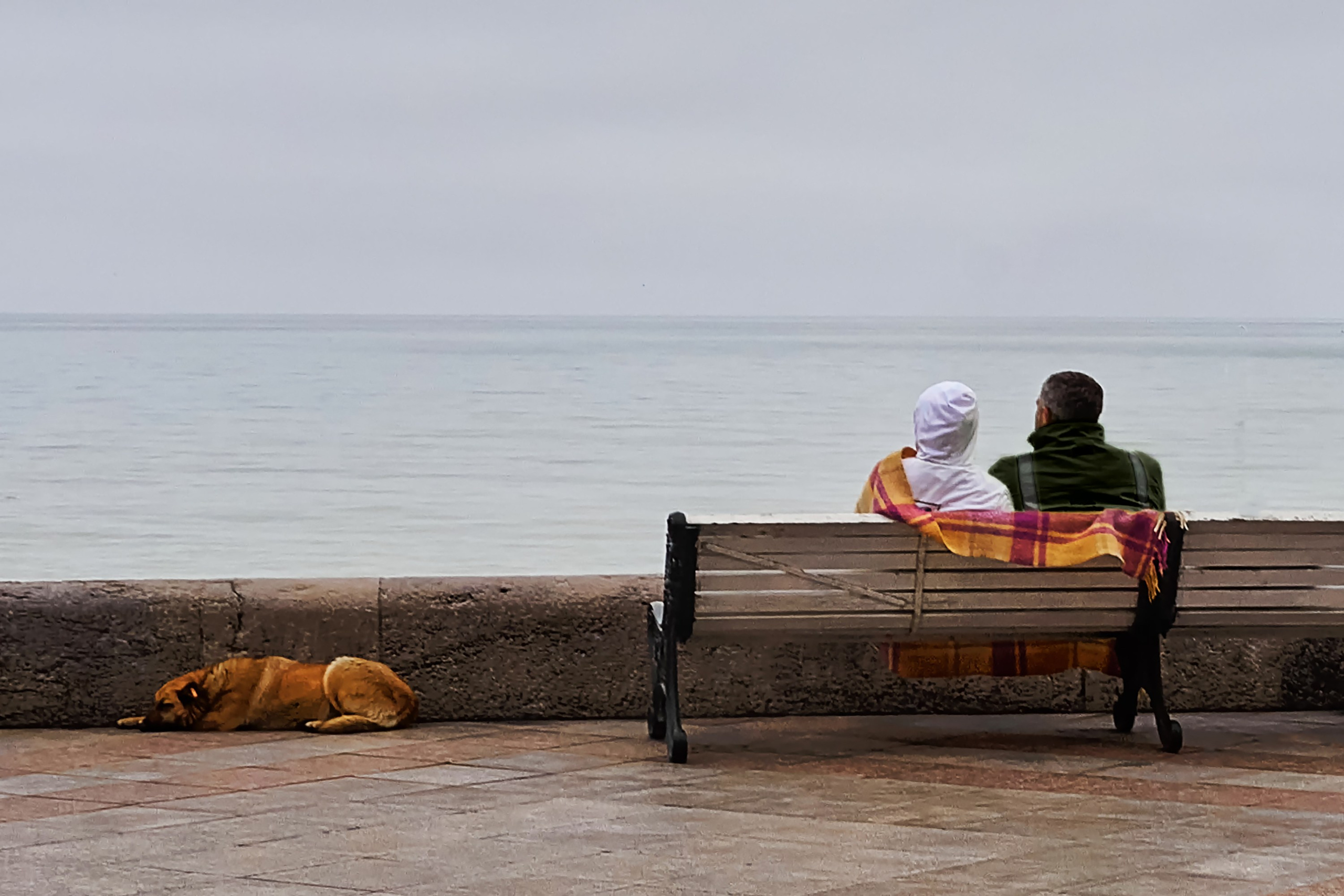 Жизнь, люди, стрит, вокруг, животные, на улице. Яркие фото на Чёрном море