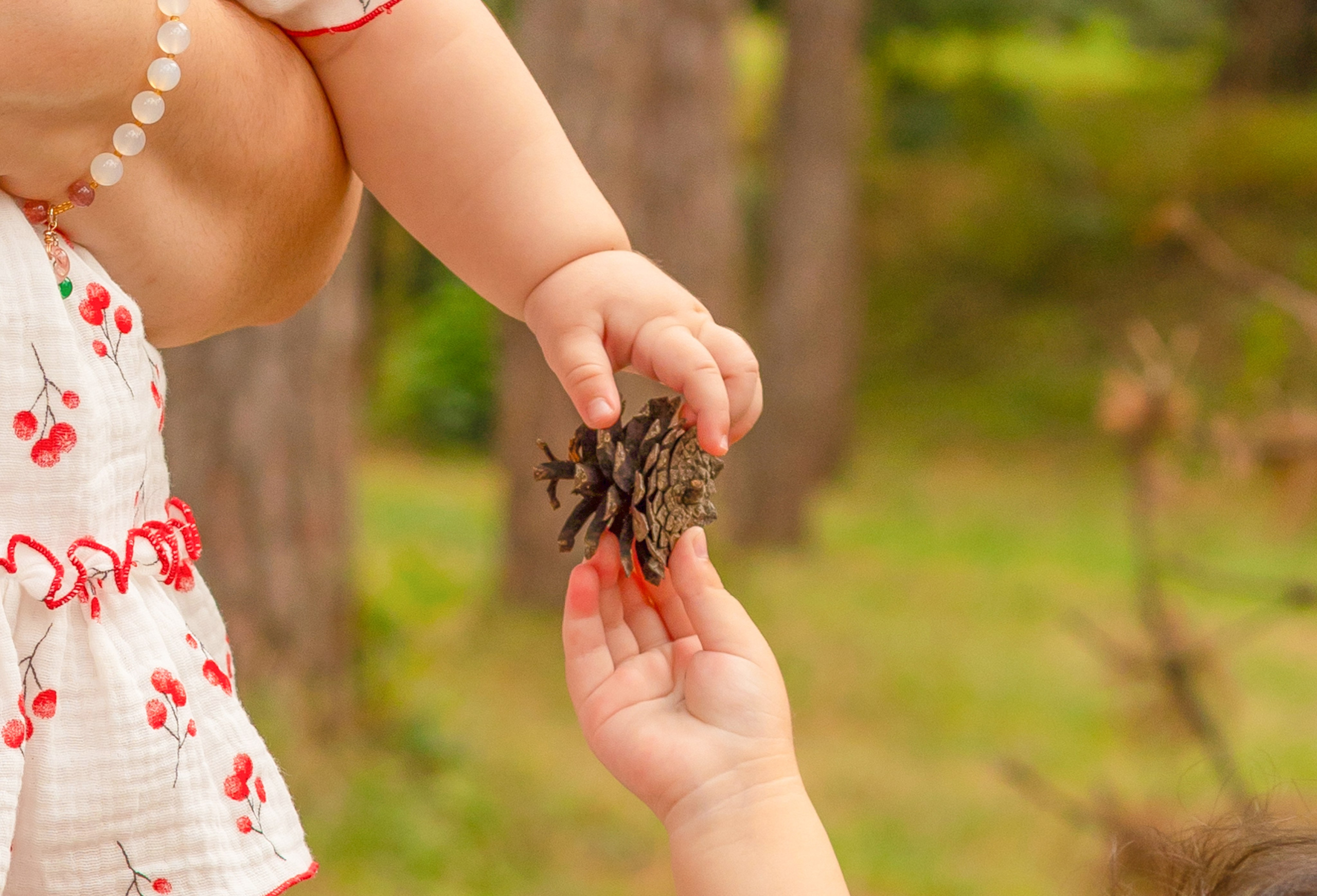 Семейные. Семейный фотограф новорожденных Нальчик