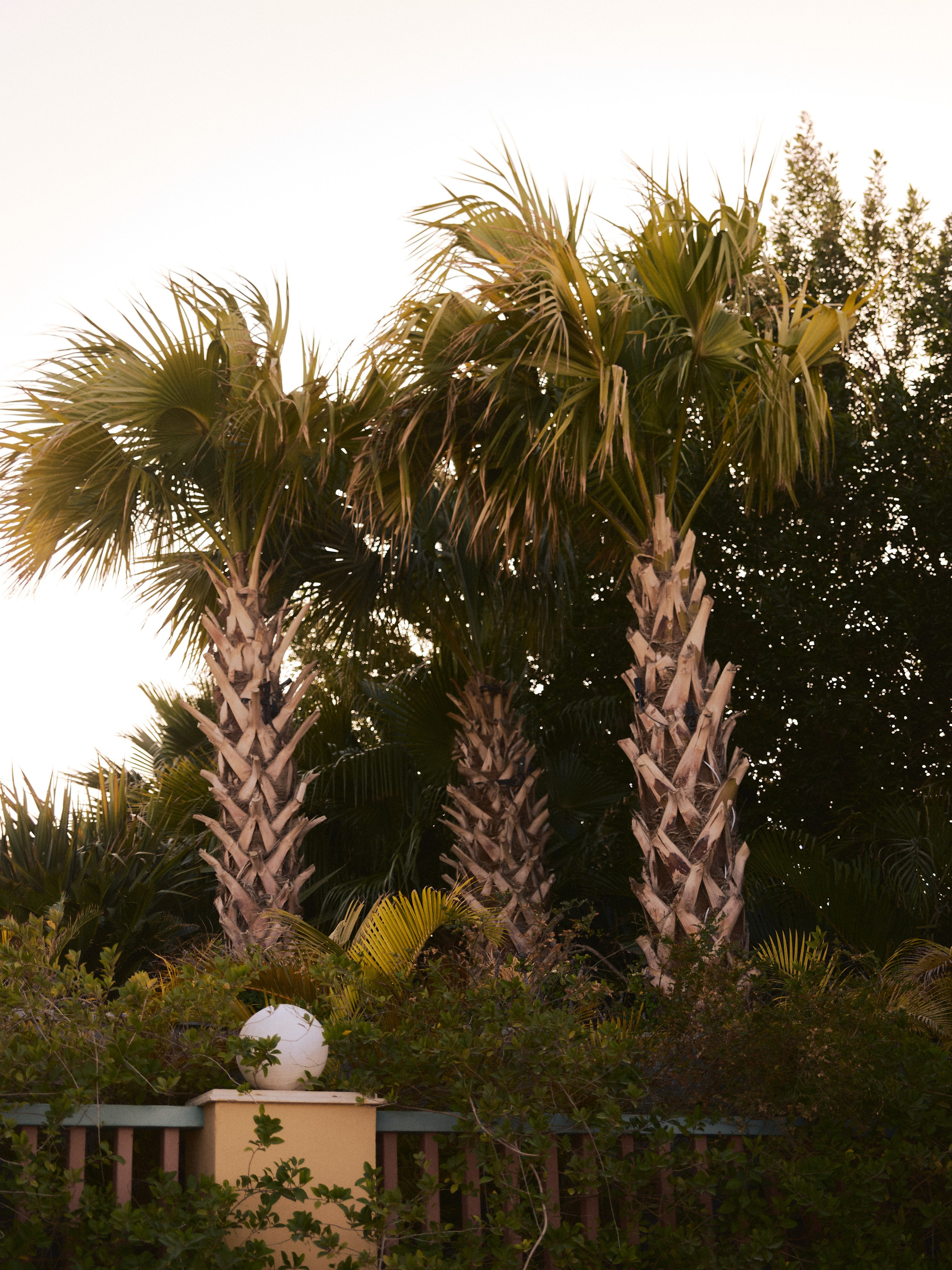 Природа сквозь. Jorgis Talè — photographer, kind person, teacher of arts and other mag