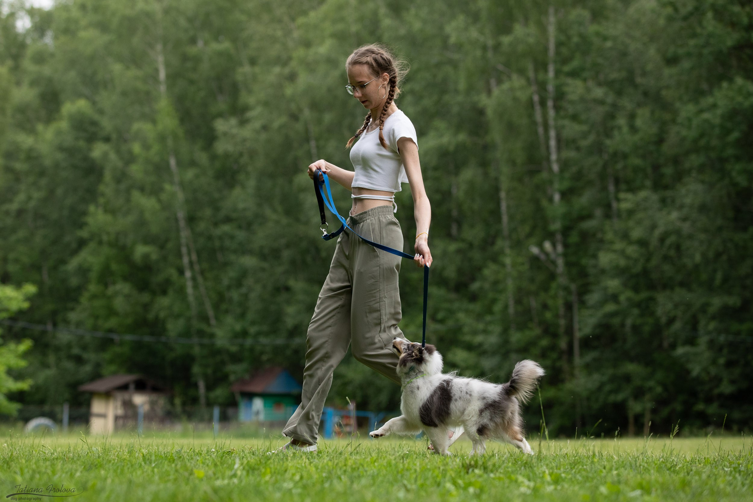 Репортаж с выводки молодняка колли/шелти в Ясенево. Фотограф-анималист в Москве и Московской области Татьяна Фролова
