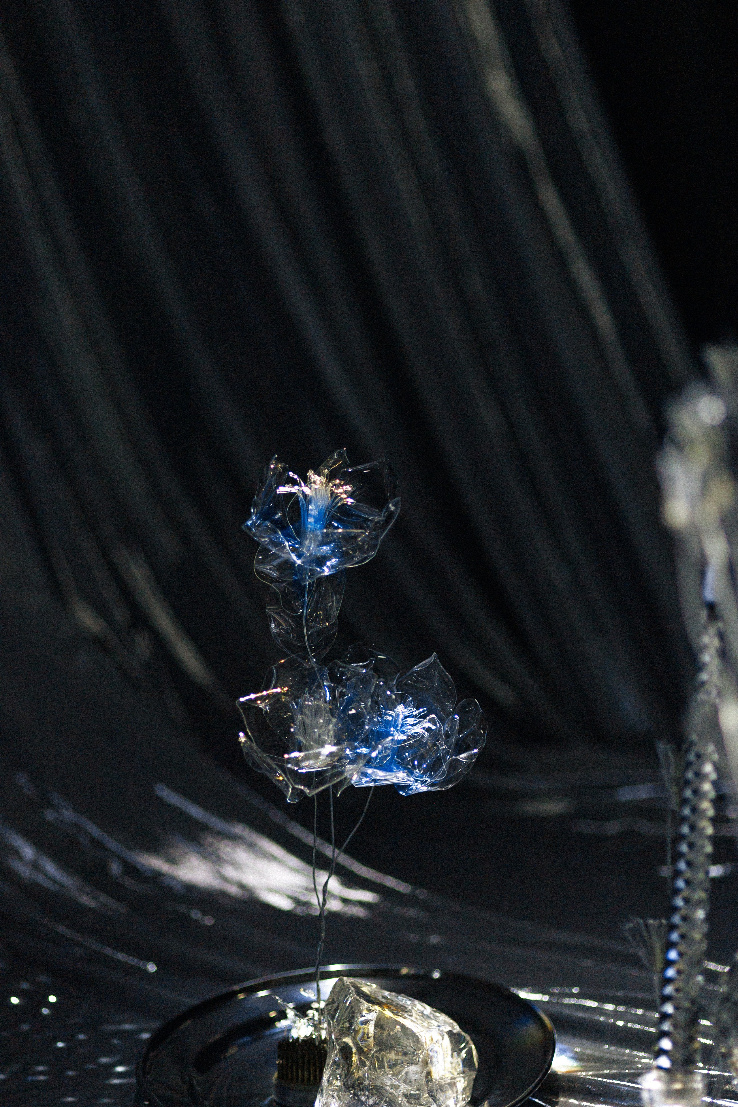 Артем & Мария. Свадебный фотограф Ростов на Дону / Таганрог — Усачева Анастасия