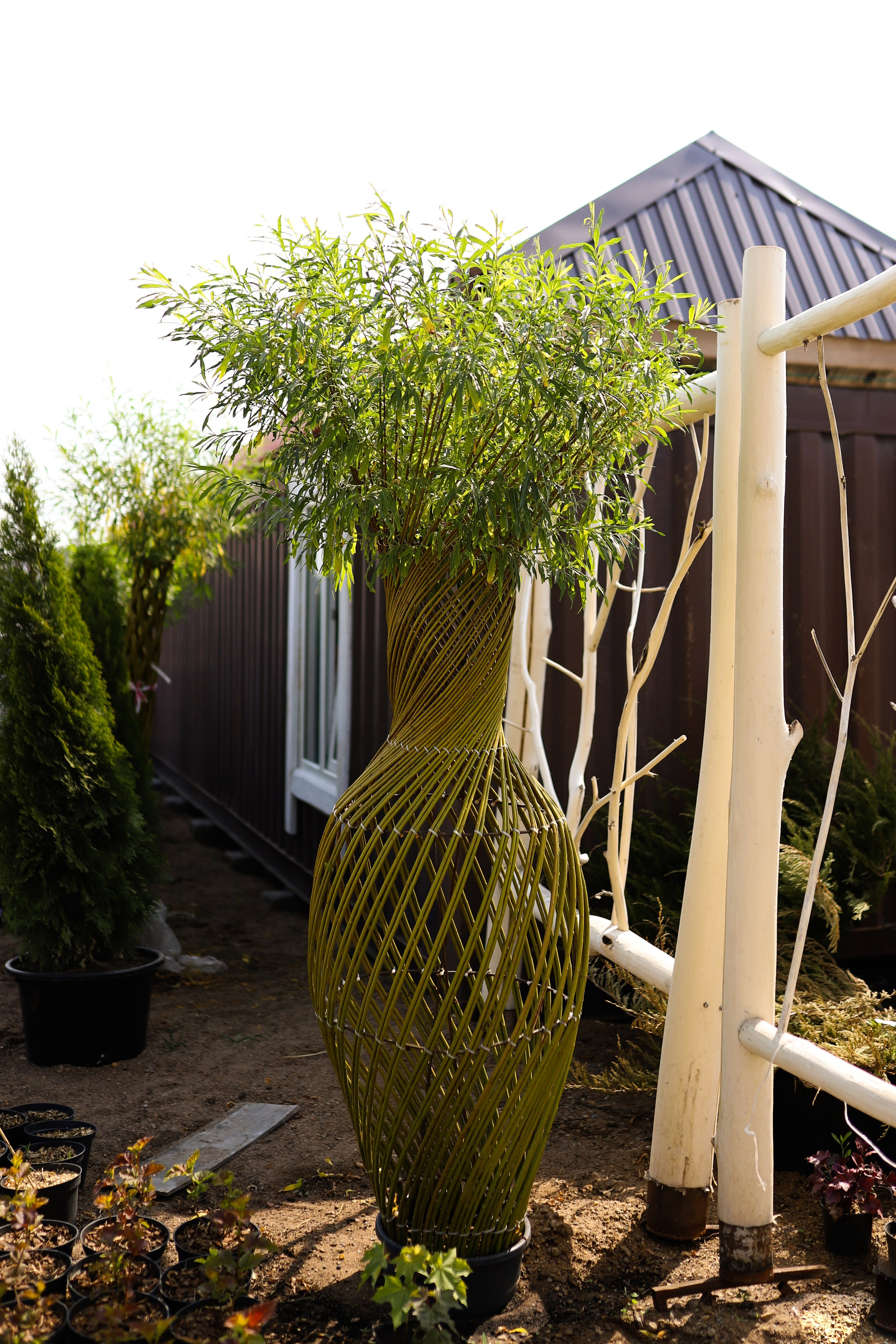 Садовый центр. Фотограф Эмилия Сафиуллина