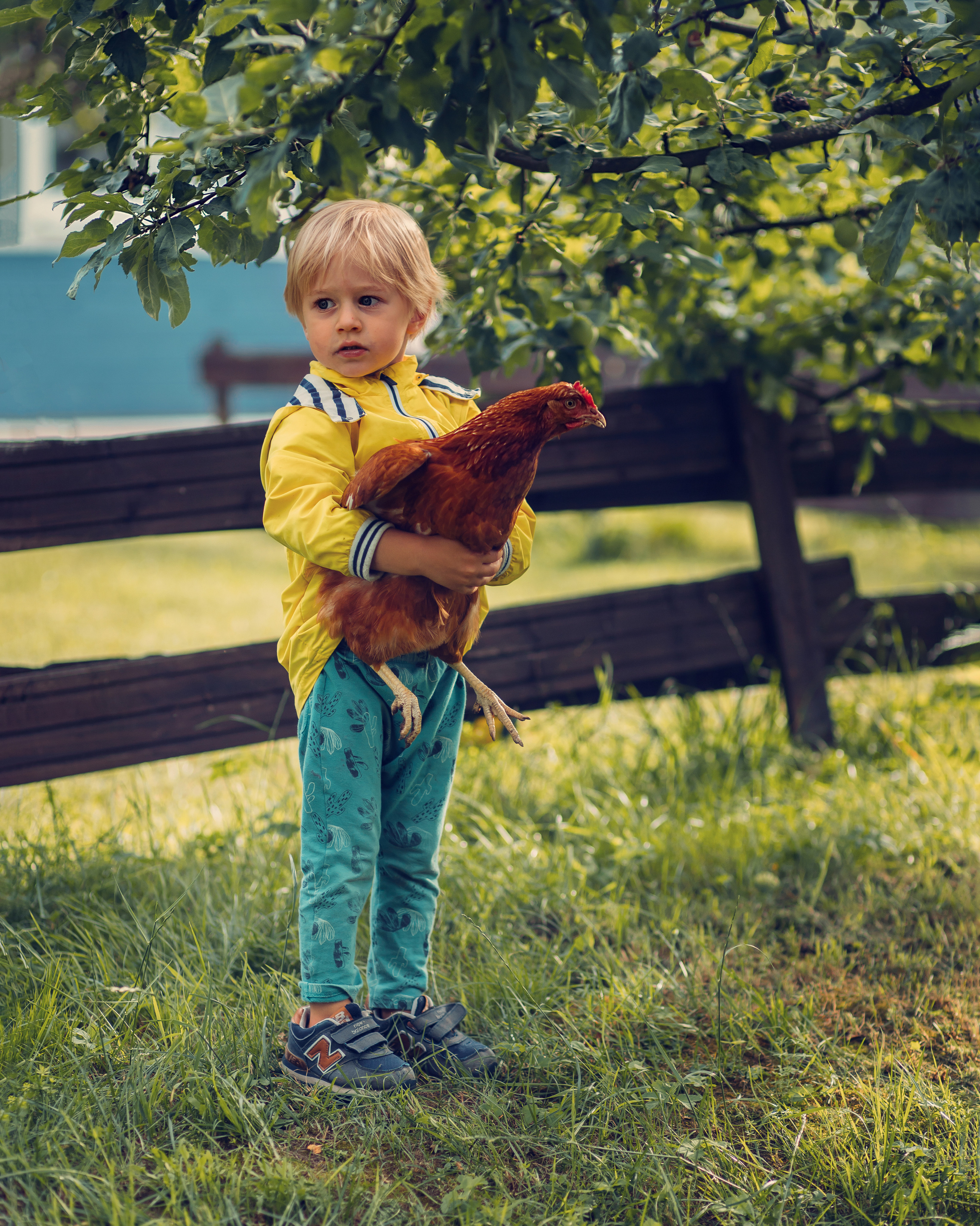 Курицы. Семейный фотограф в Санкт-Петербурге Ирина Иванова
