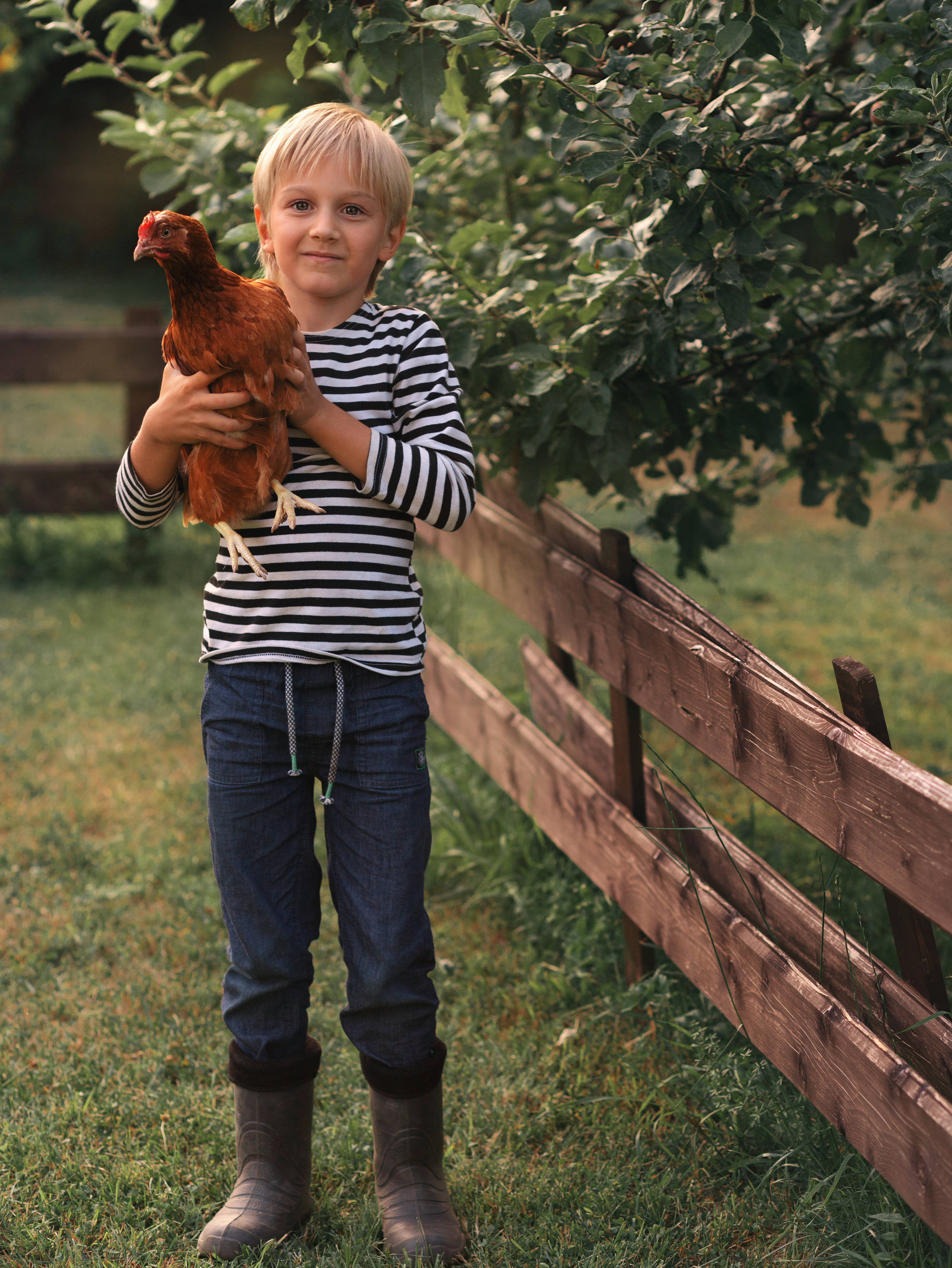 Курицы. Семейный фотограф в Санкт-Петербурге Ирина Иванова