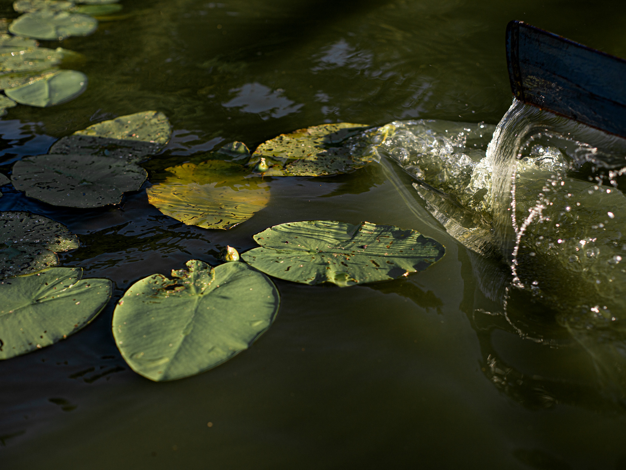 Парни в лодке. Семейный фотограф в Санкт-Петербурге Ирина Иванова
