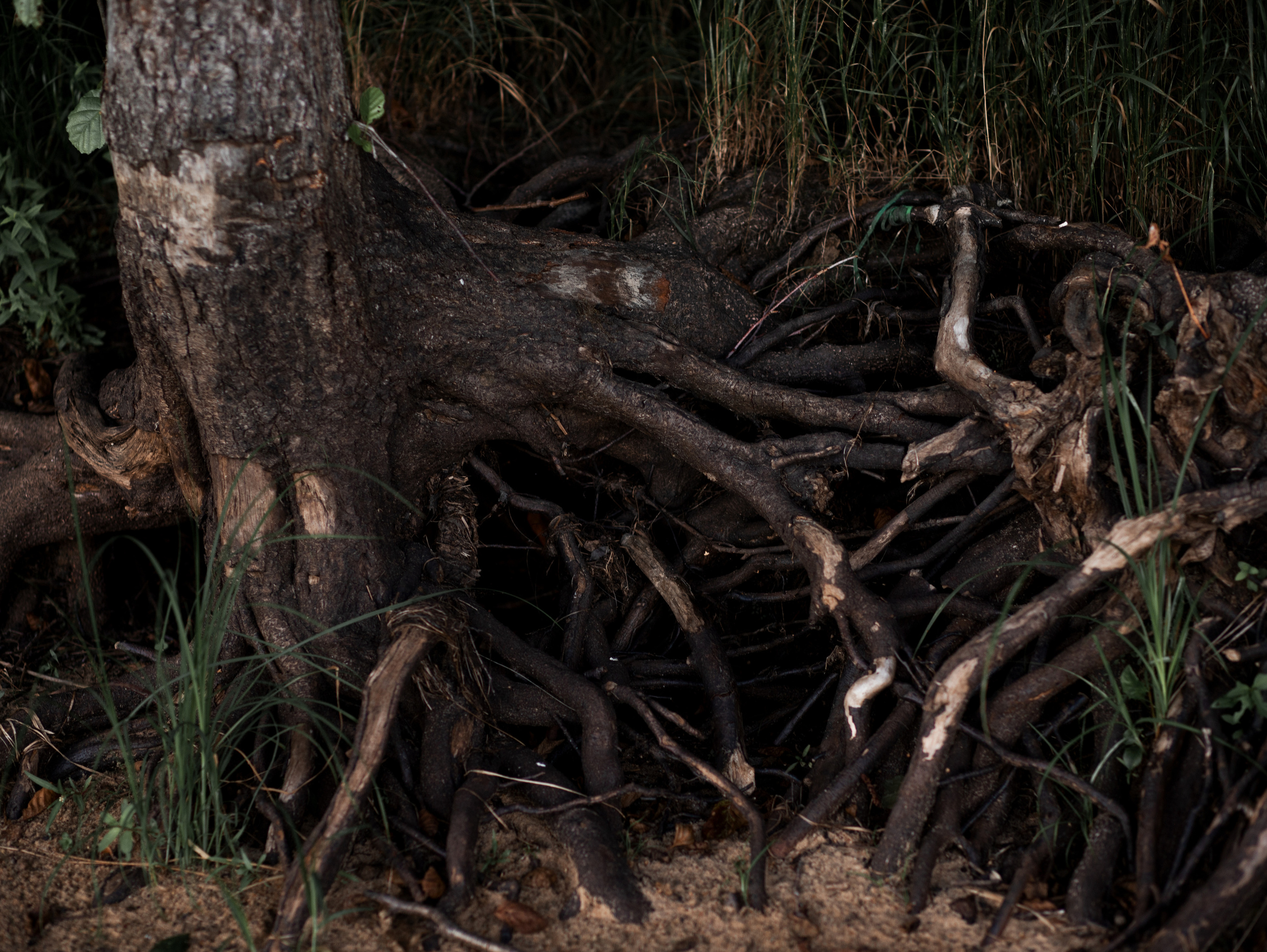 На закате. Семейный фотограф в Санкт-Петербурге Ирина Иванова
