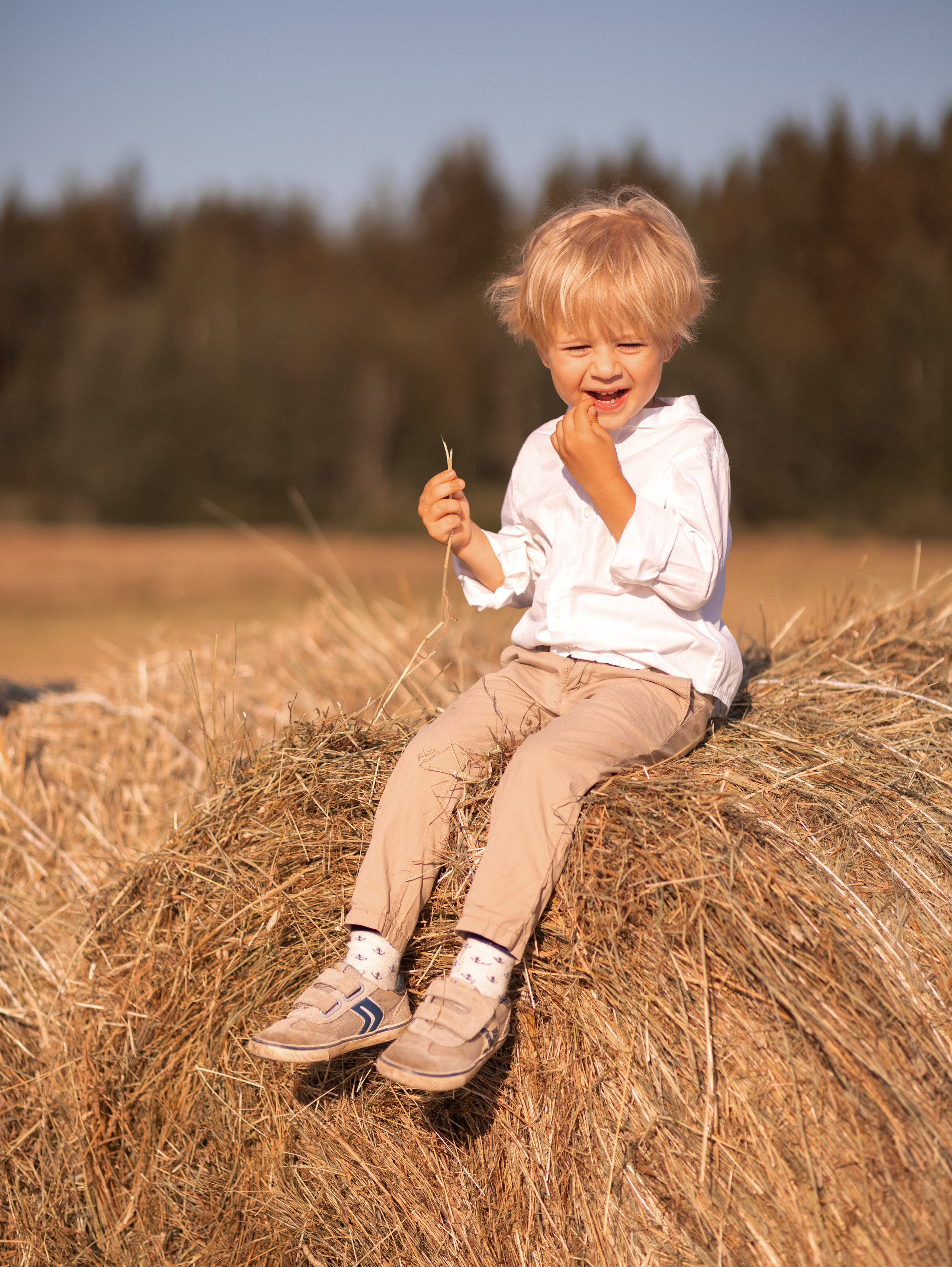 Как мы искали сеновал. Семейный фотограф в Санкт-Петербурге Ирина Иванова