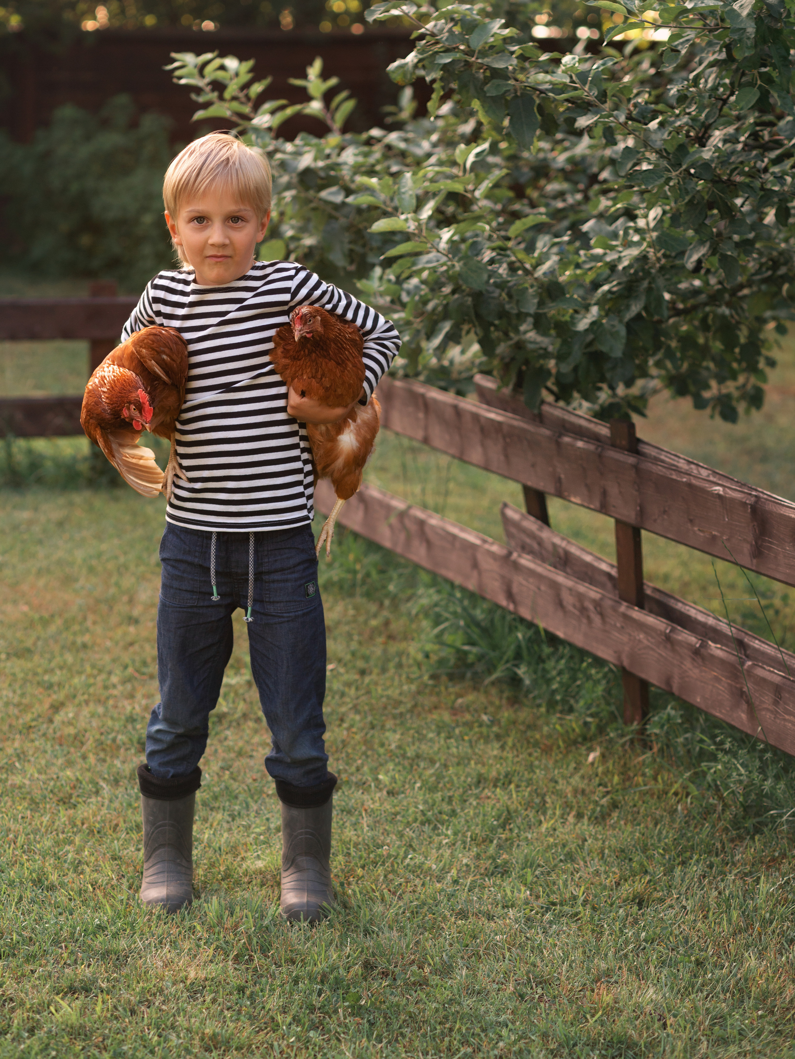 Курицы. Семейный фотограф в Санкт-Петербурге Ирина Иванова