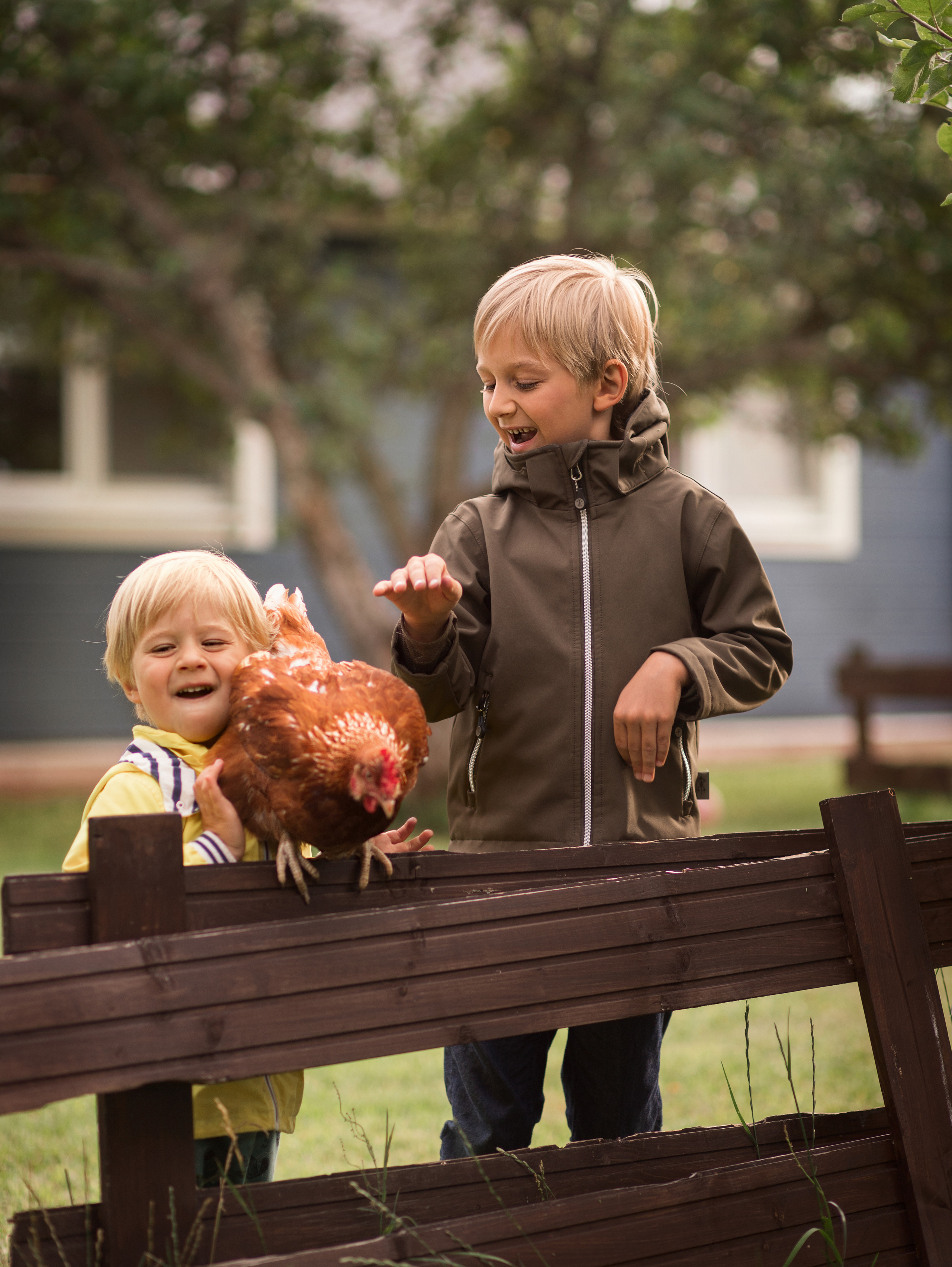 Курицы. Семейный фотограф в Санкт-Петербурге Ирина Иванова