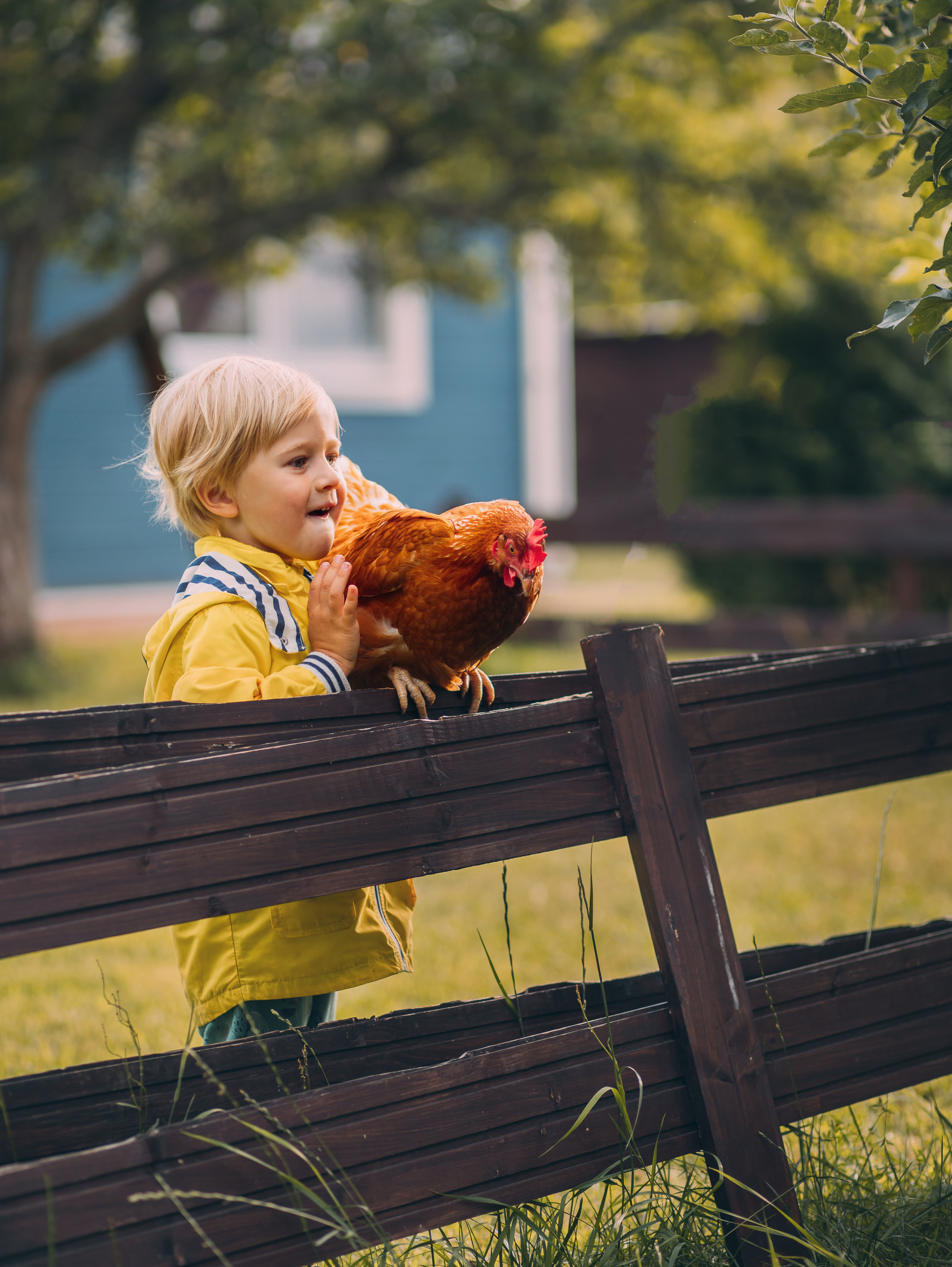 Курицы. Семейный фотограф в Санкт-Петербурге Ирина Иванова