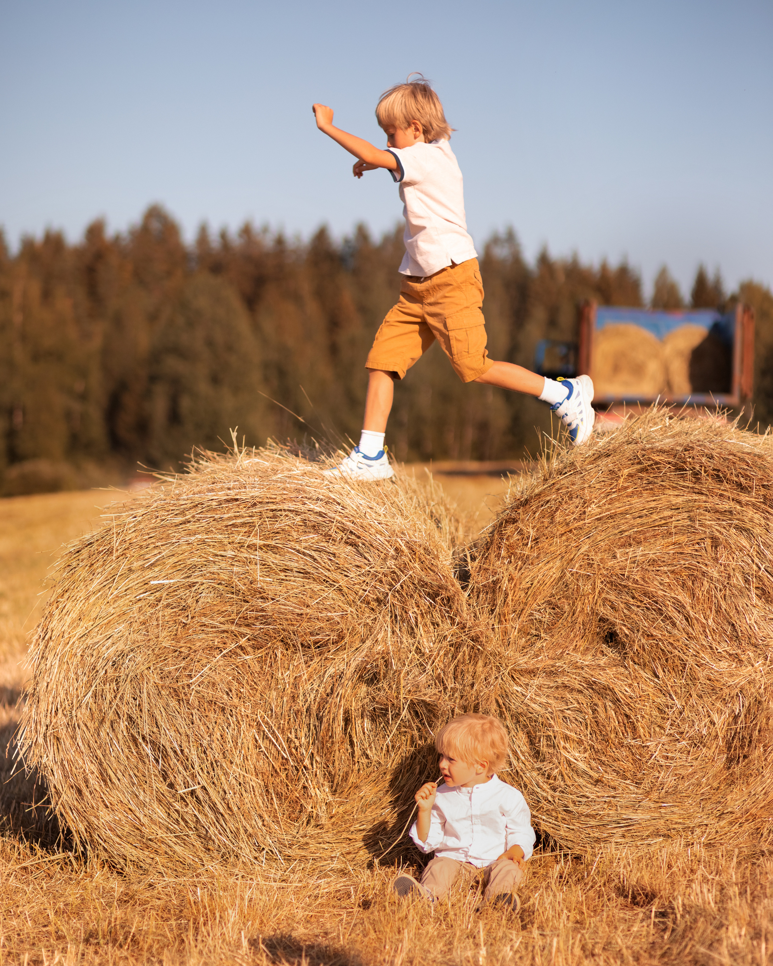Как мы искали сеновал. Семейный фотограф в Санкт-Петербурге Ирина Иванова