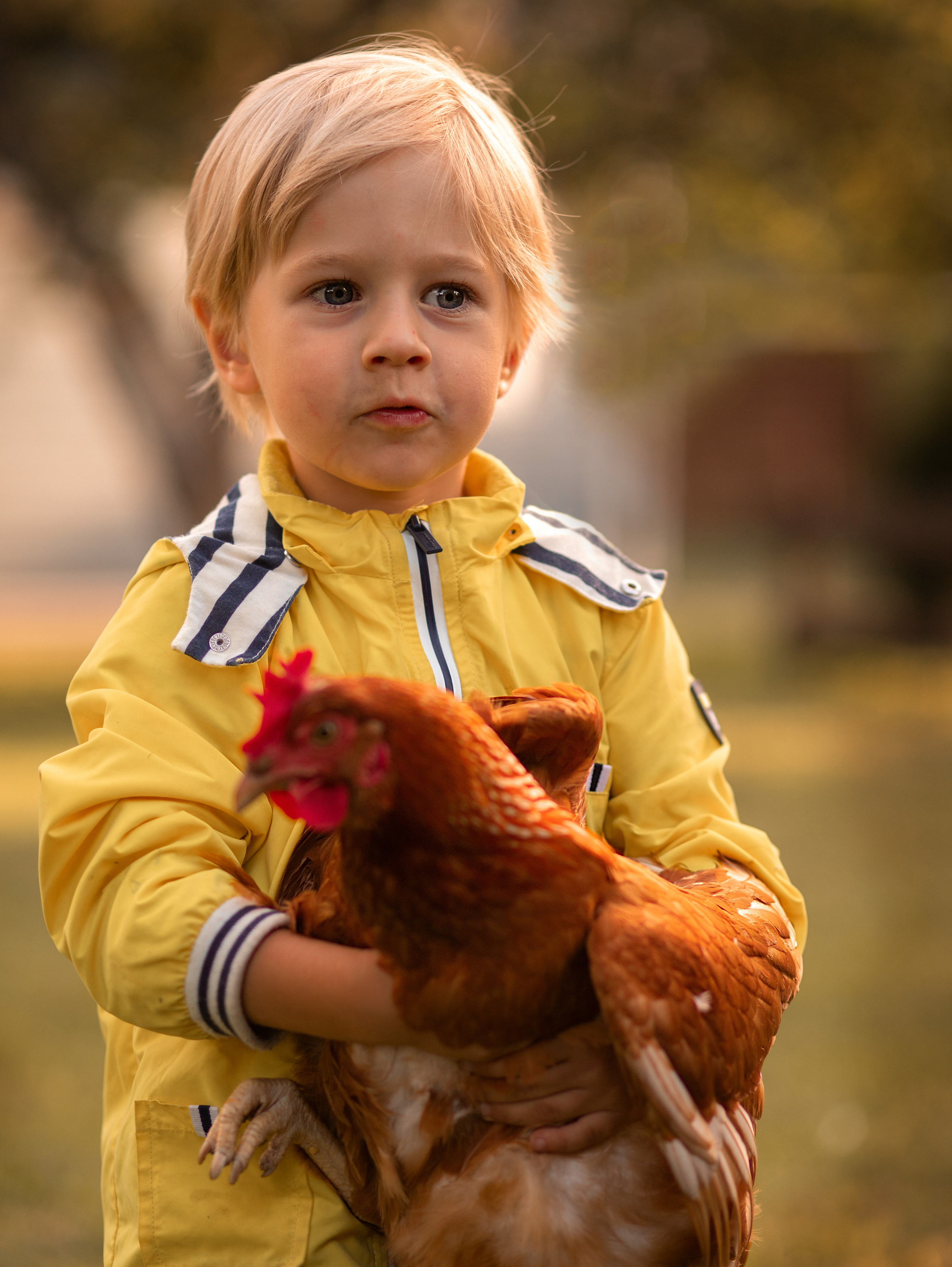 Курицы. Семейный фотограф в Санкт-Петербурге Ирина Иванова