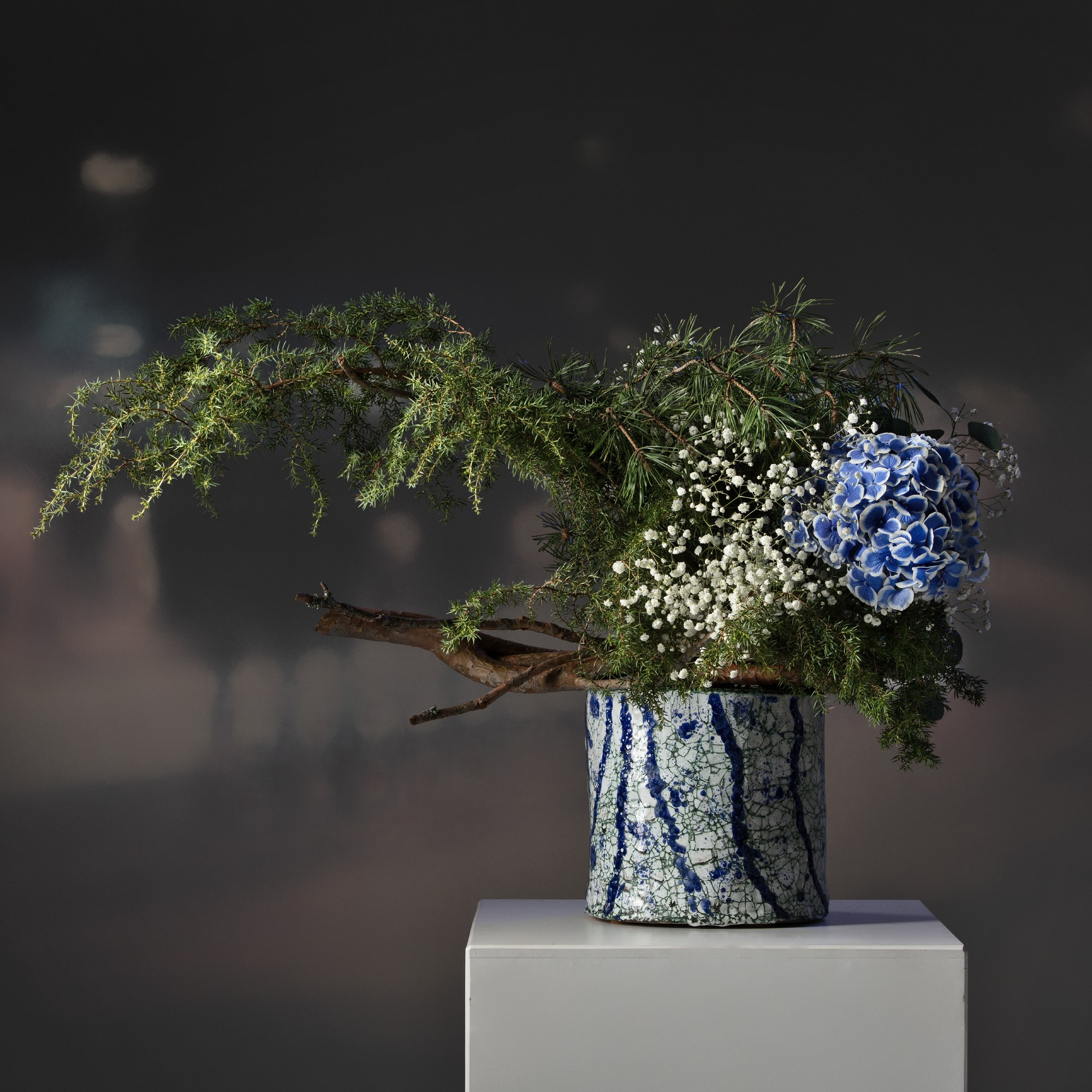 Флористическая фотосъёмка.