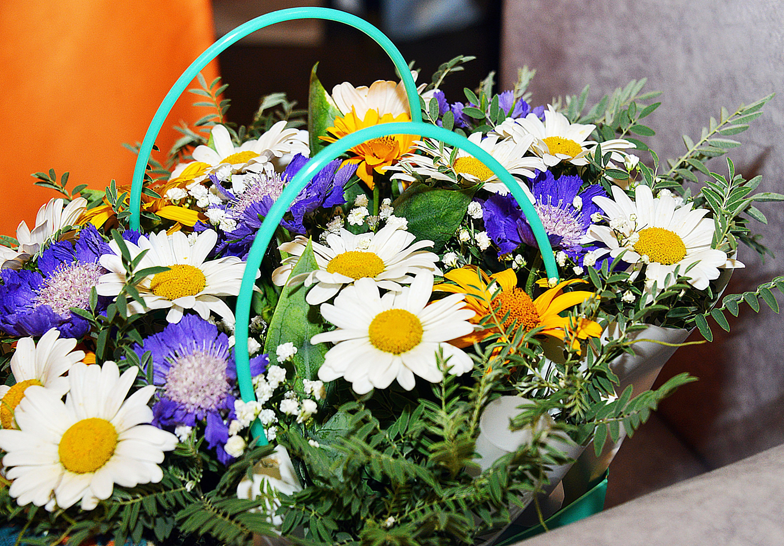 Дети-4 (Асхат-6 лет). Фотосъёмка. Фотограф Сергей Авдеев-семейный и детский фотограф в Алматы