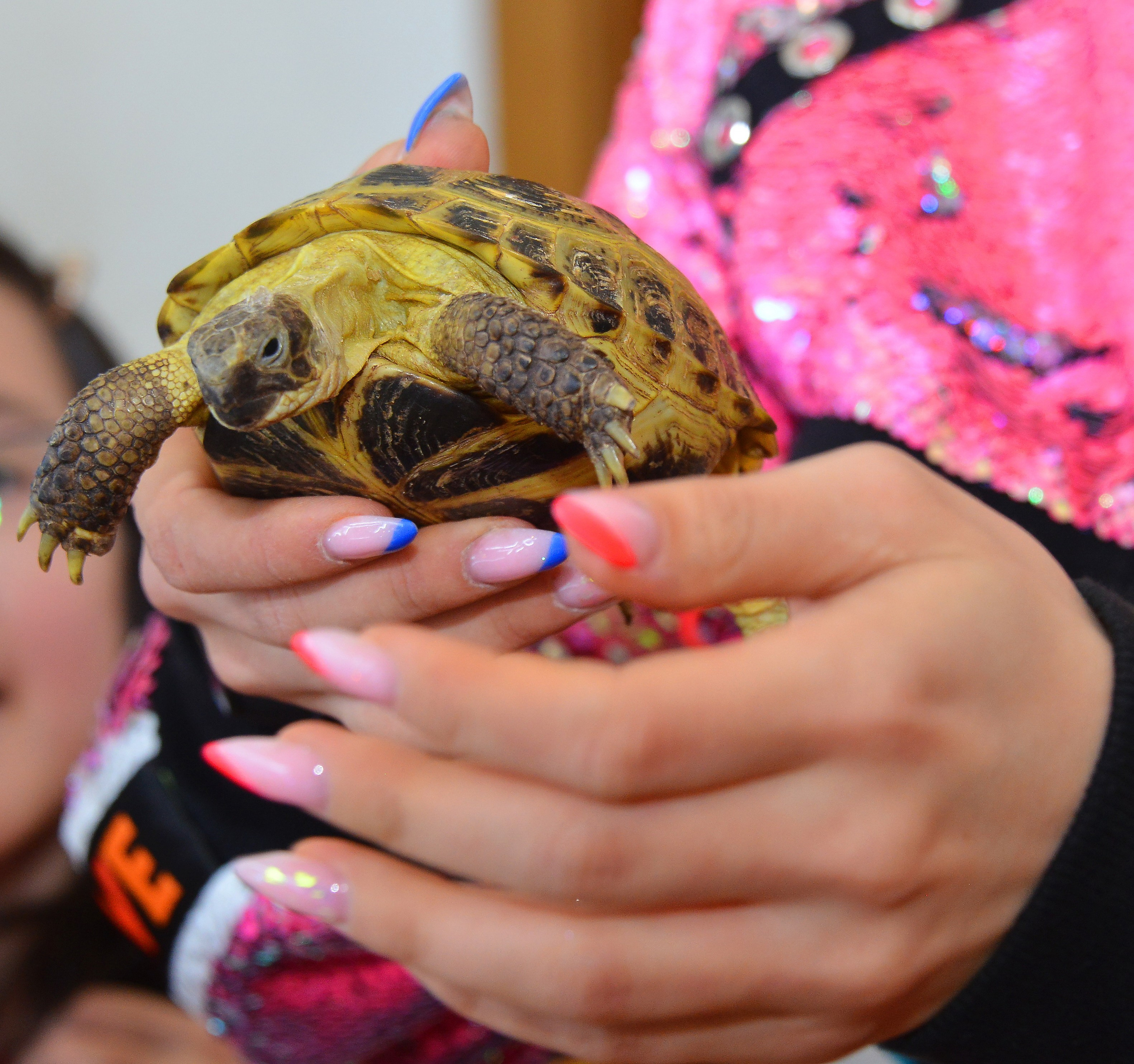 Дети-2 (Оливия-5 лет). Фотосъёмка. Фотограф Сергей Авдеев-семейный и детский фотограф в Алматы