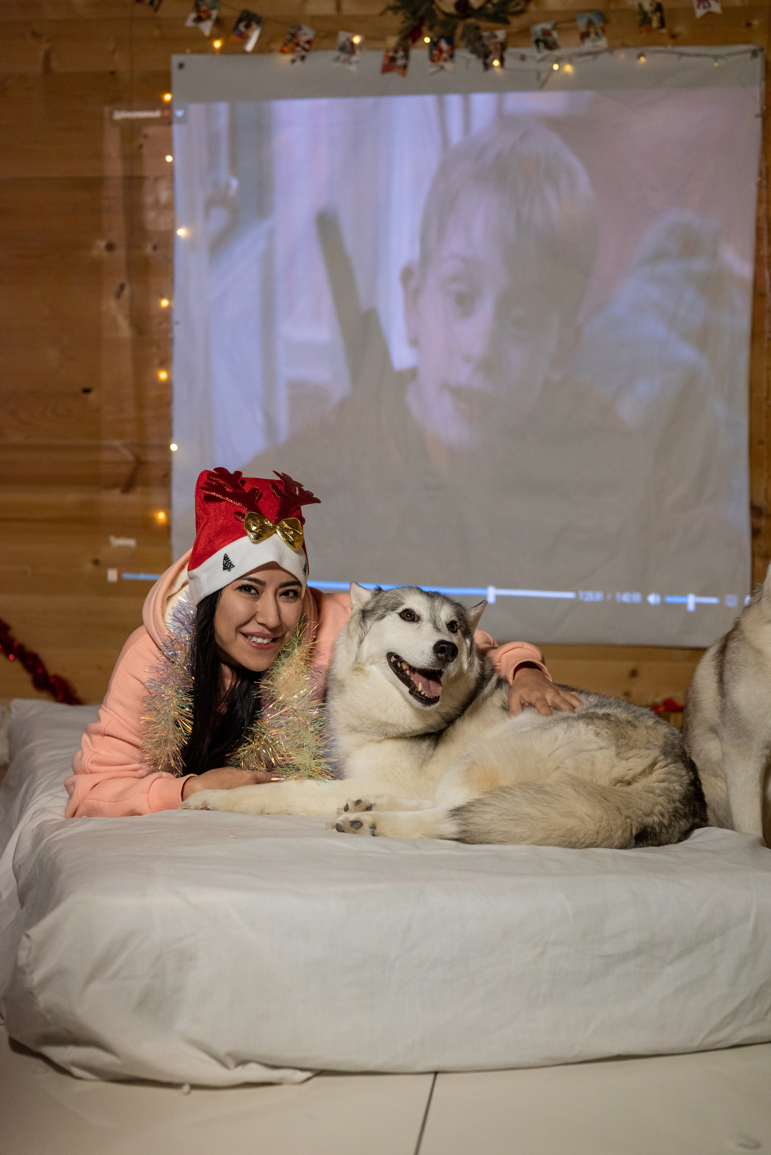 Фотопроект с хаски 2025 г. Фотограф в городе Салават