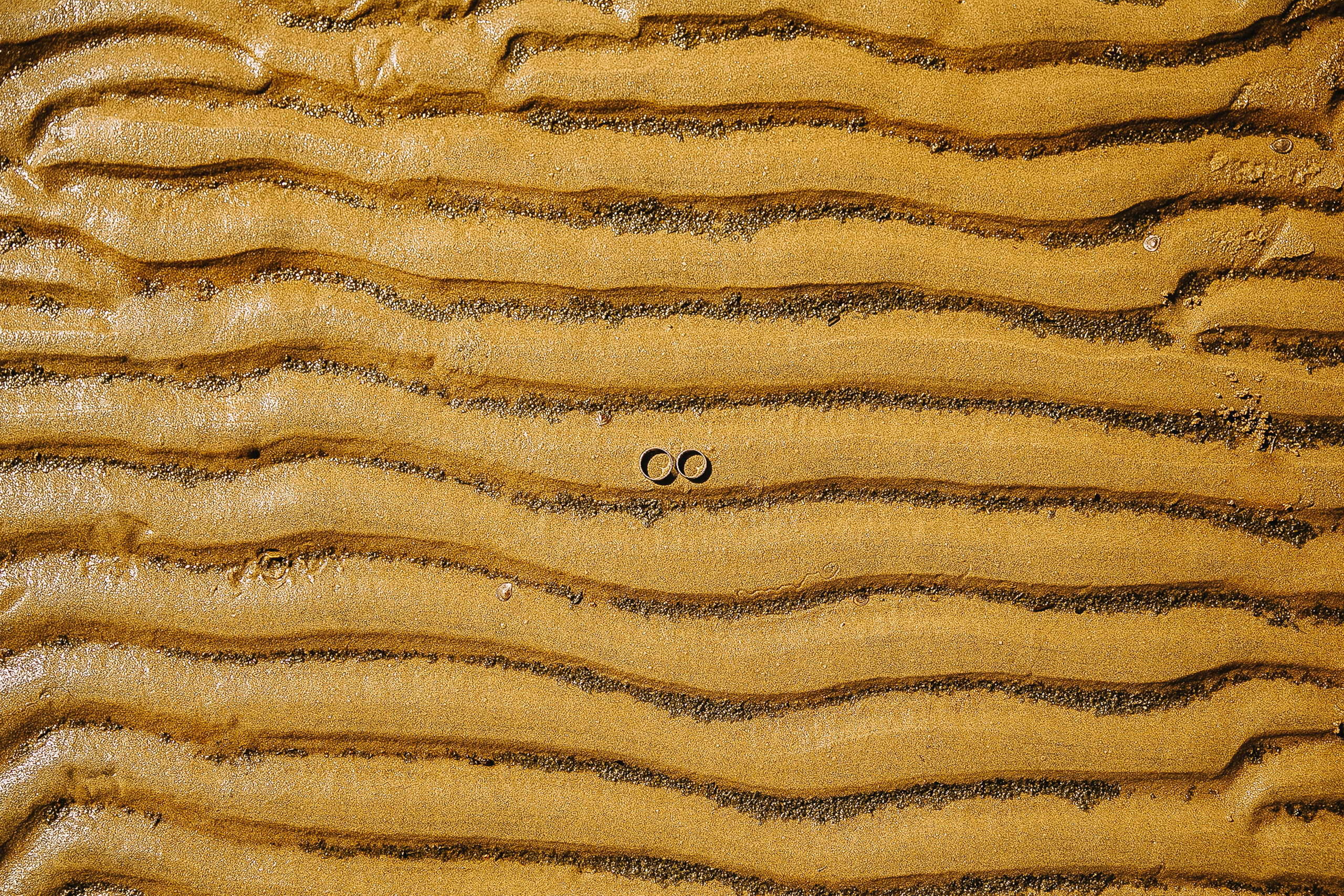 СВАДЕБНОЕ. Фотограф в Санкт-Петербурге Иван Скульский