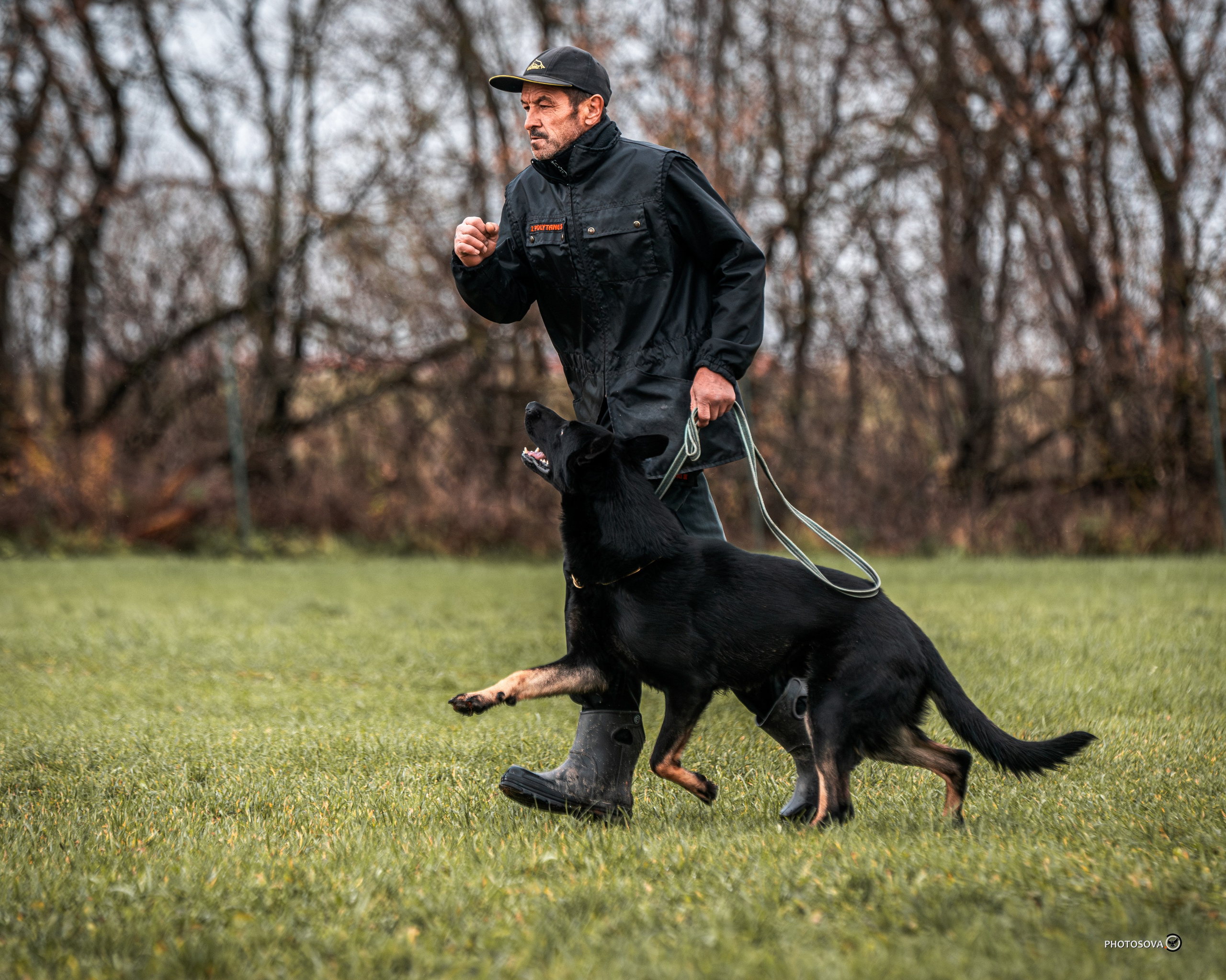МЫ — КОМАНДА (соревнования) OKD, BH, IBGH, IGP. Фотограф-анималист, семейный фотограф в Москве и Подмосковье. Фотосъёмка кинологических дисциплин