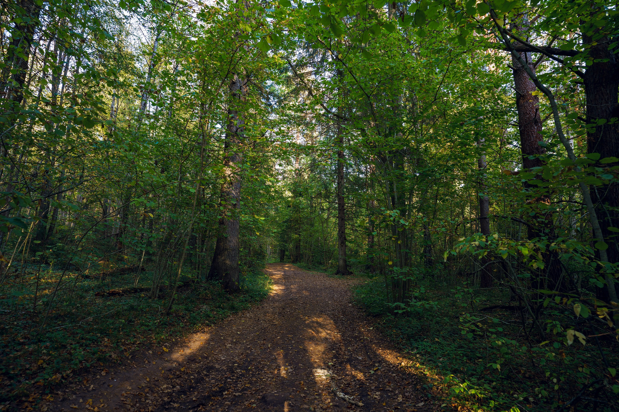 Фотографии Большая Калужская Тропа. Фотограф спортивные события, недвижимость, турбизнес