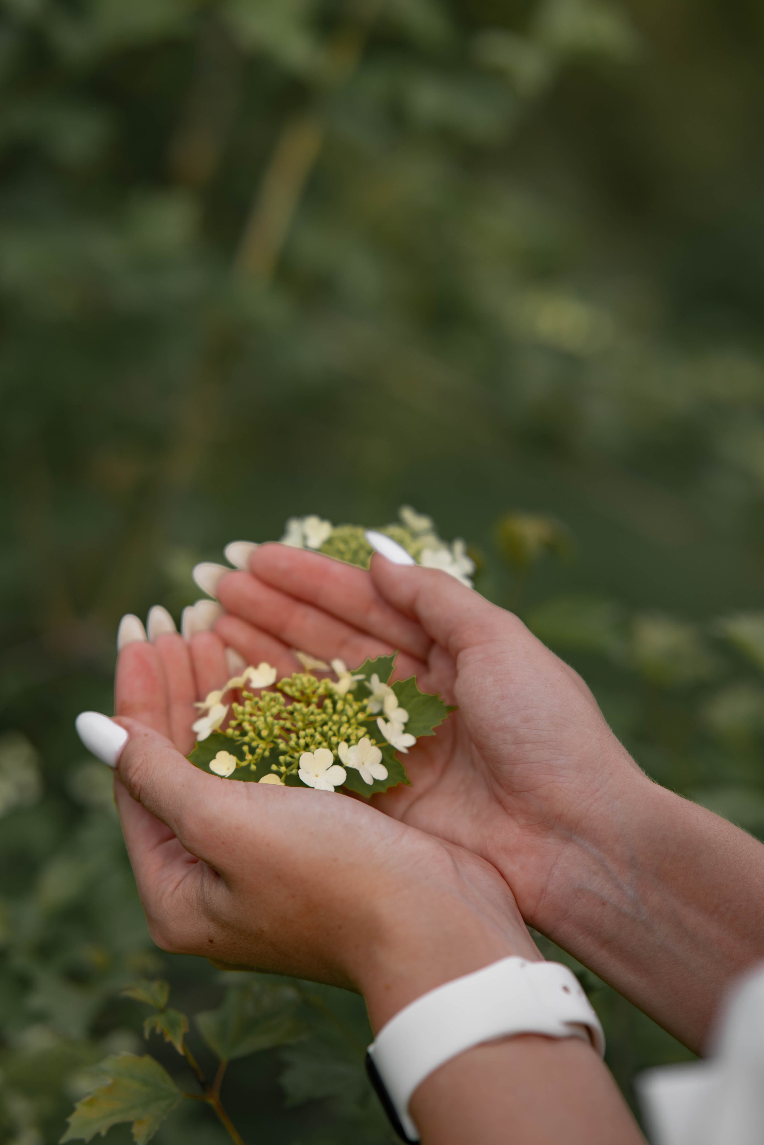Вечерняя съёмка изящной девушки в парке города Абакан. Семейный и свадебный фотограф в Абакане Юлия Су