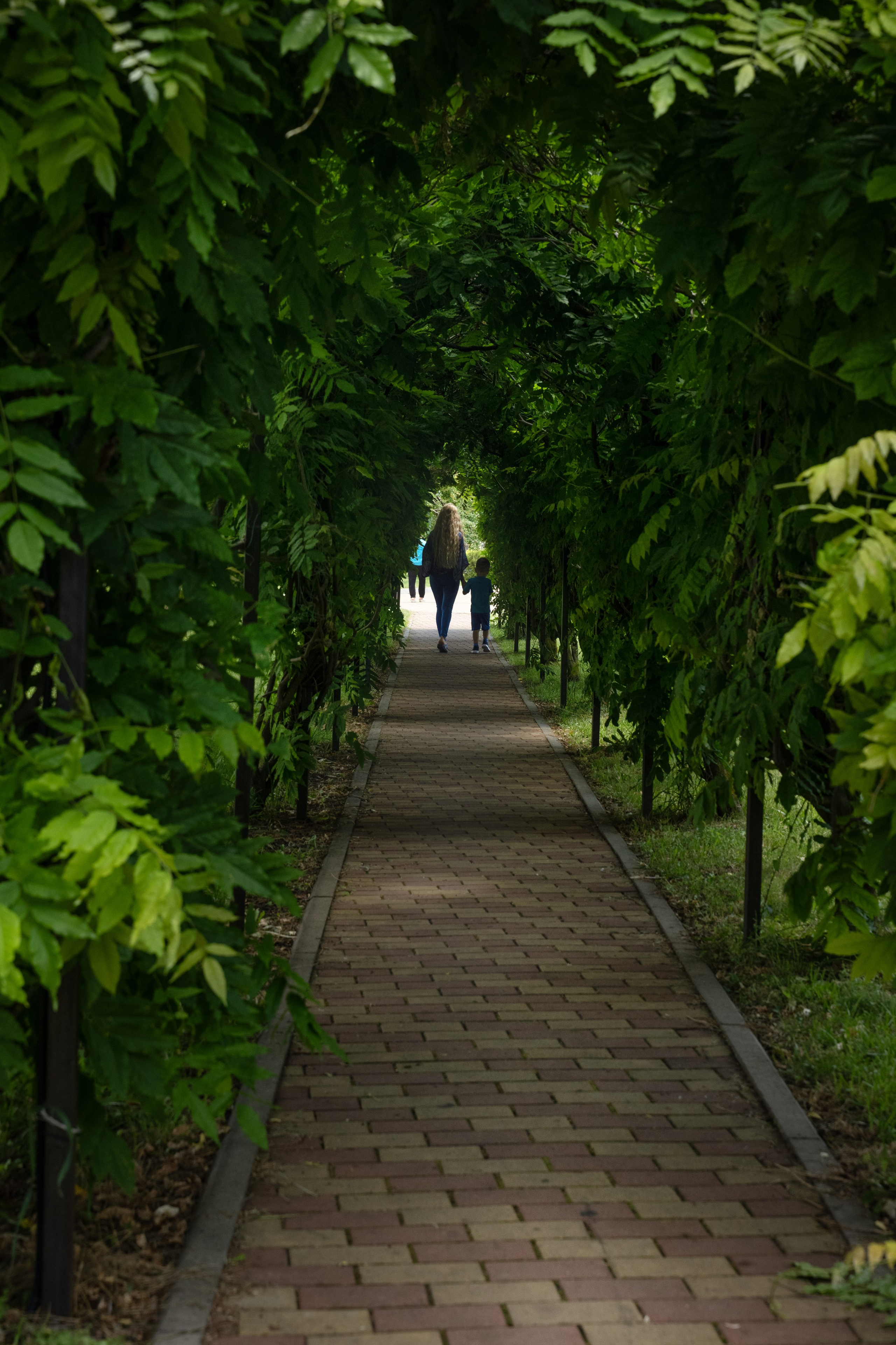 Фестиваль йоги в г. Кореновске. Главная