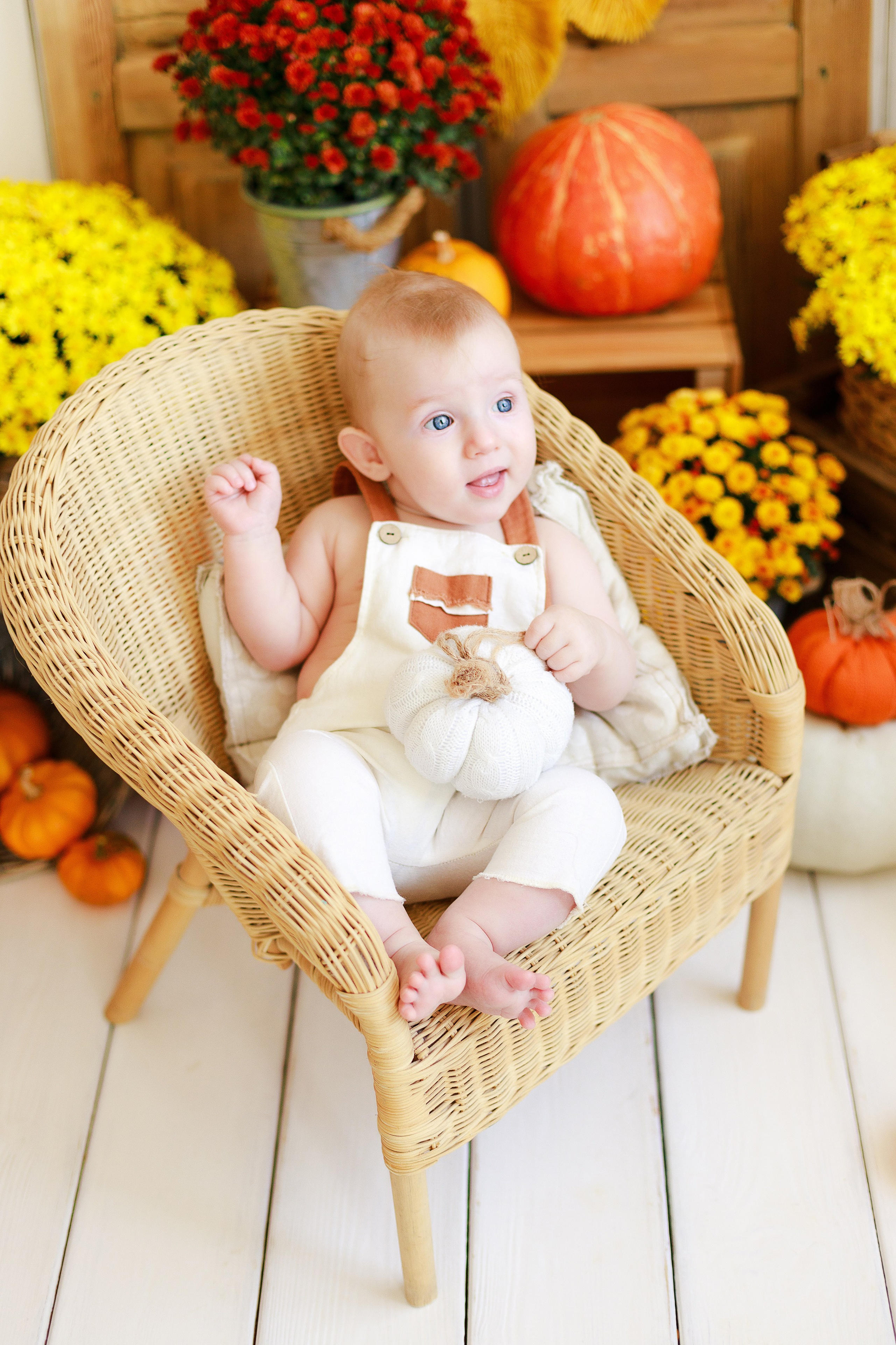 Осенняя детская фотосессия с тыквами и кроликом в Краснодаре. Детский и семейный фотограф в Краснодаре Альбина Морозова