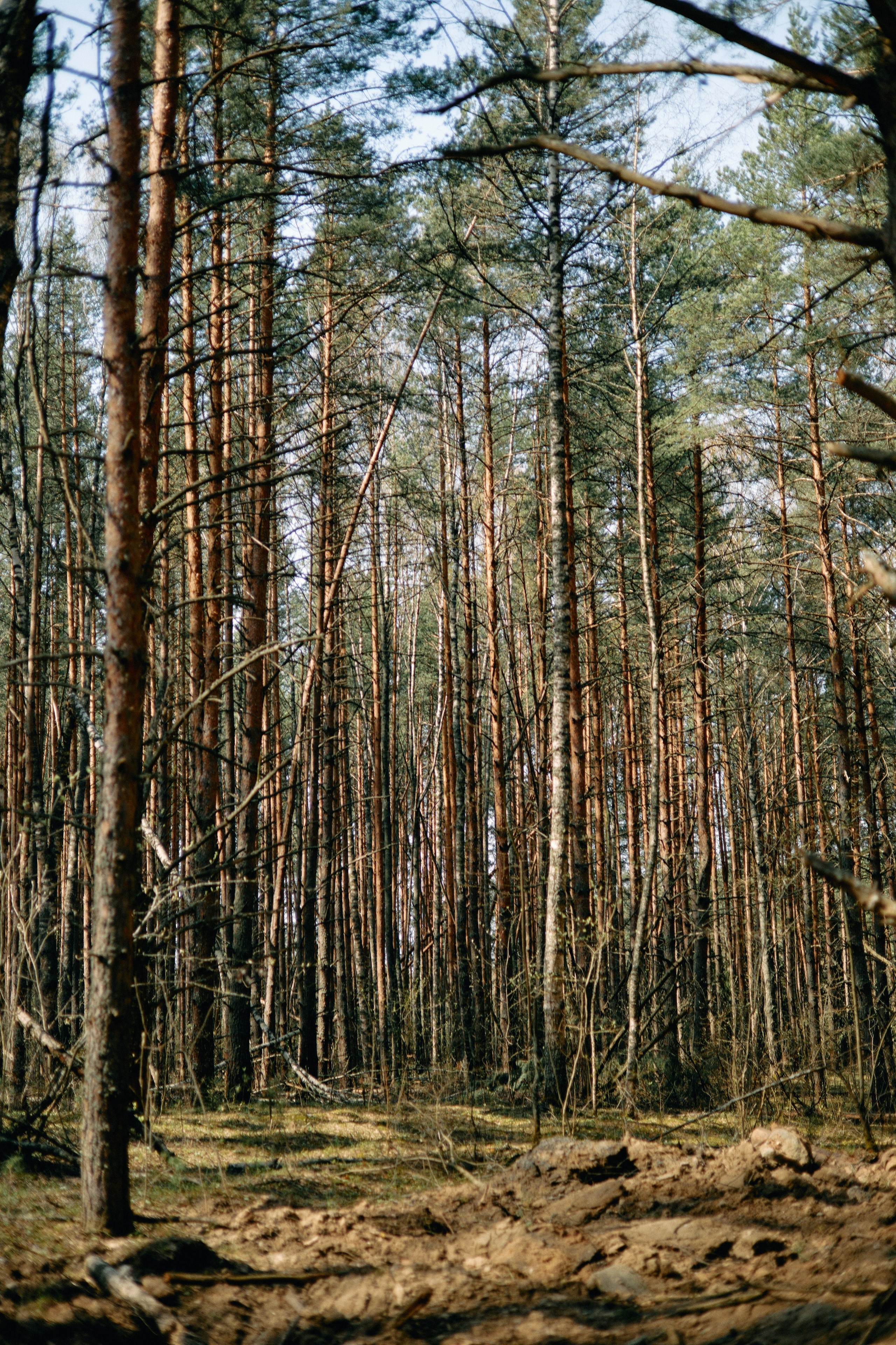 Бутик-отель Поле летом. Профессиональный Фотограф во Владимире, в Москве и в Суздале — Полина Романычева