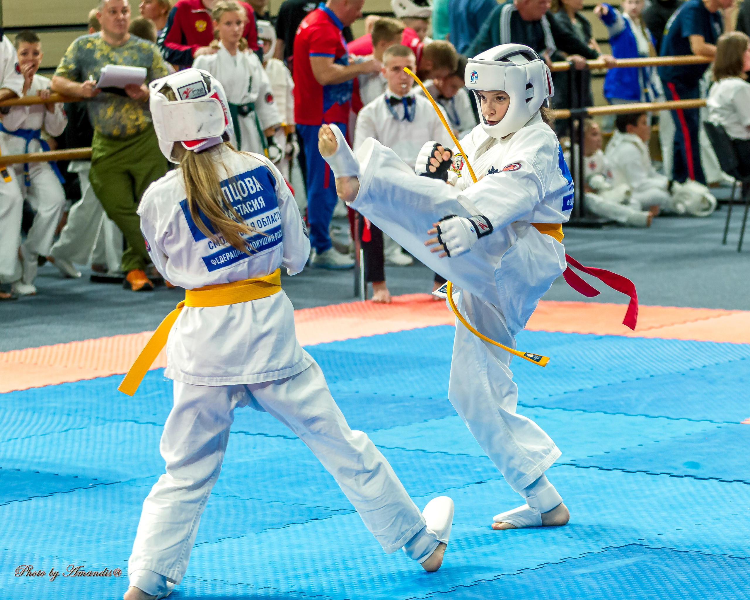 Первенство Московской области по Киокушин в СК «Жаворонки». Репортажная съемка в Москве и области. Анималистика