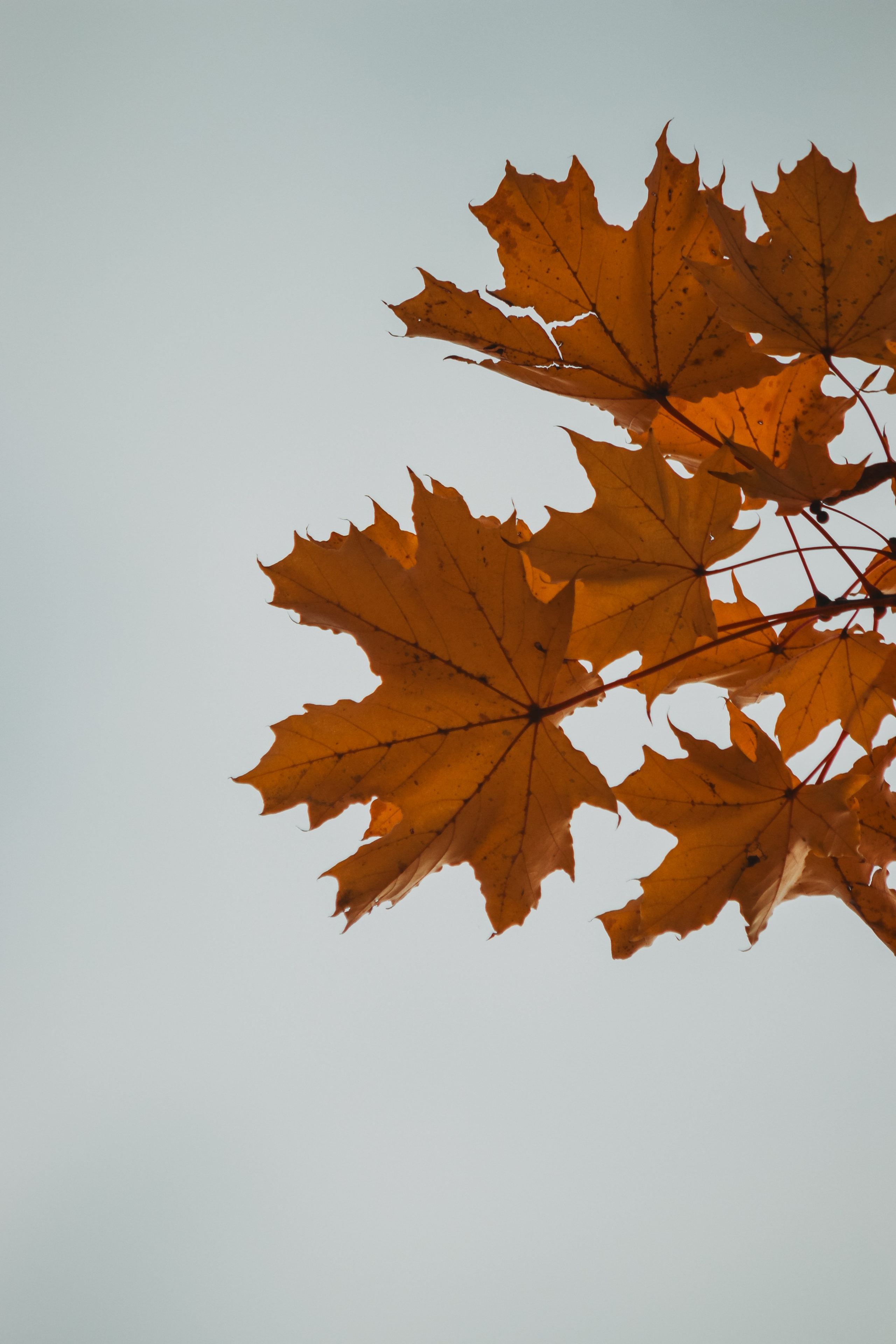 М И Н И М А Л И З М. — Digital Noise —