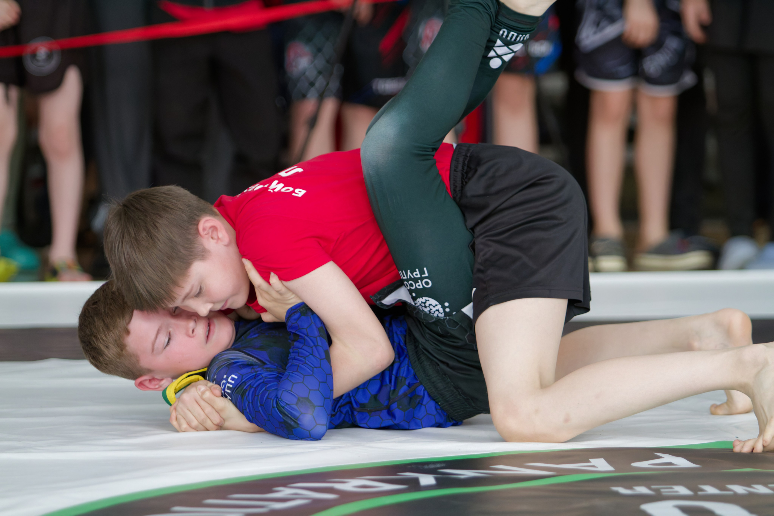 Борьба. Джиу-джитсу 26.04.2025. Репортажный и спортивный фотограф в г. Пермь Зильберг Павел