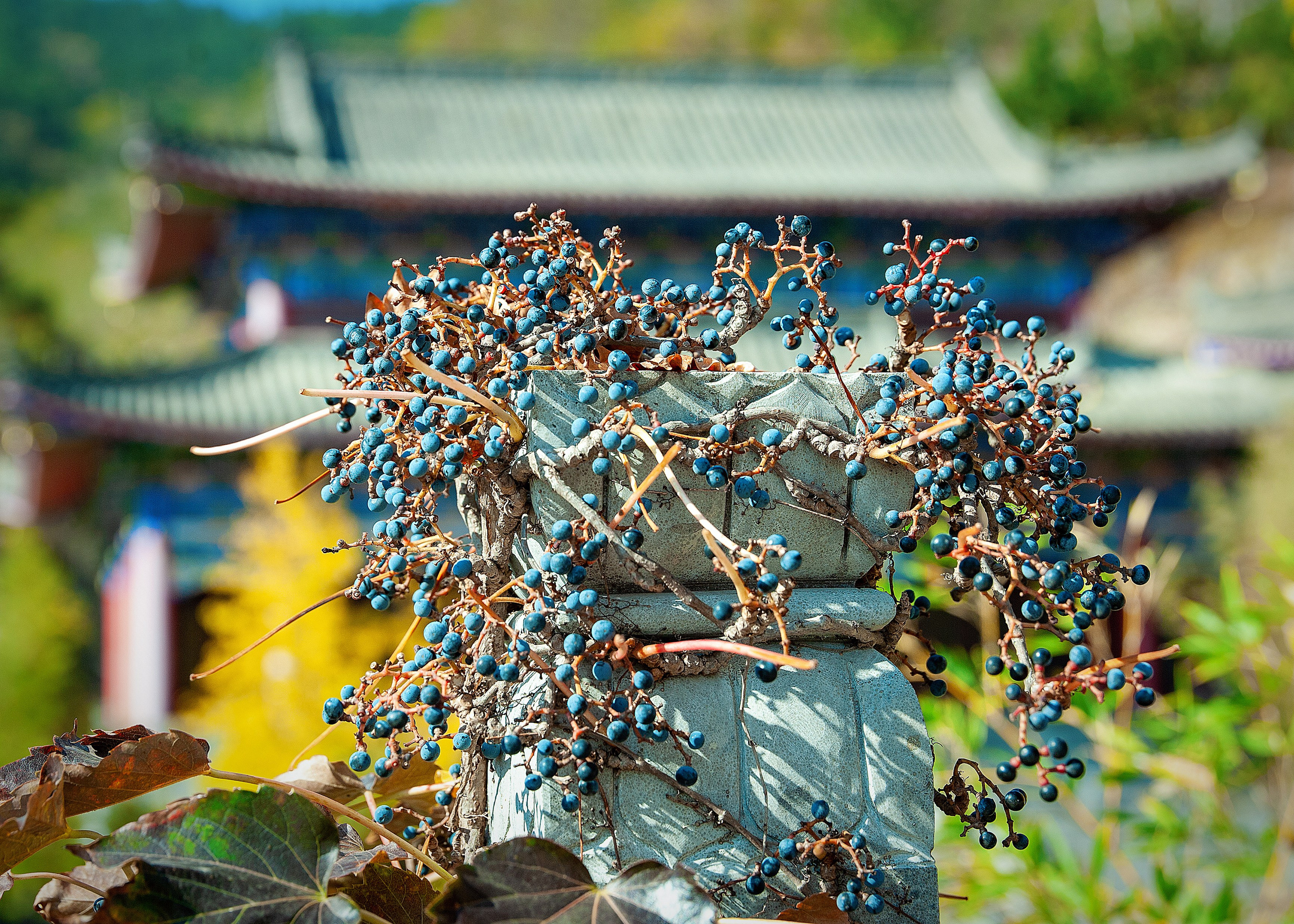 Загадочный Китай. FotoGraf