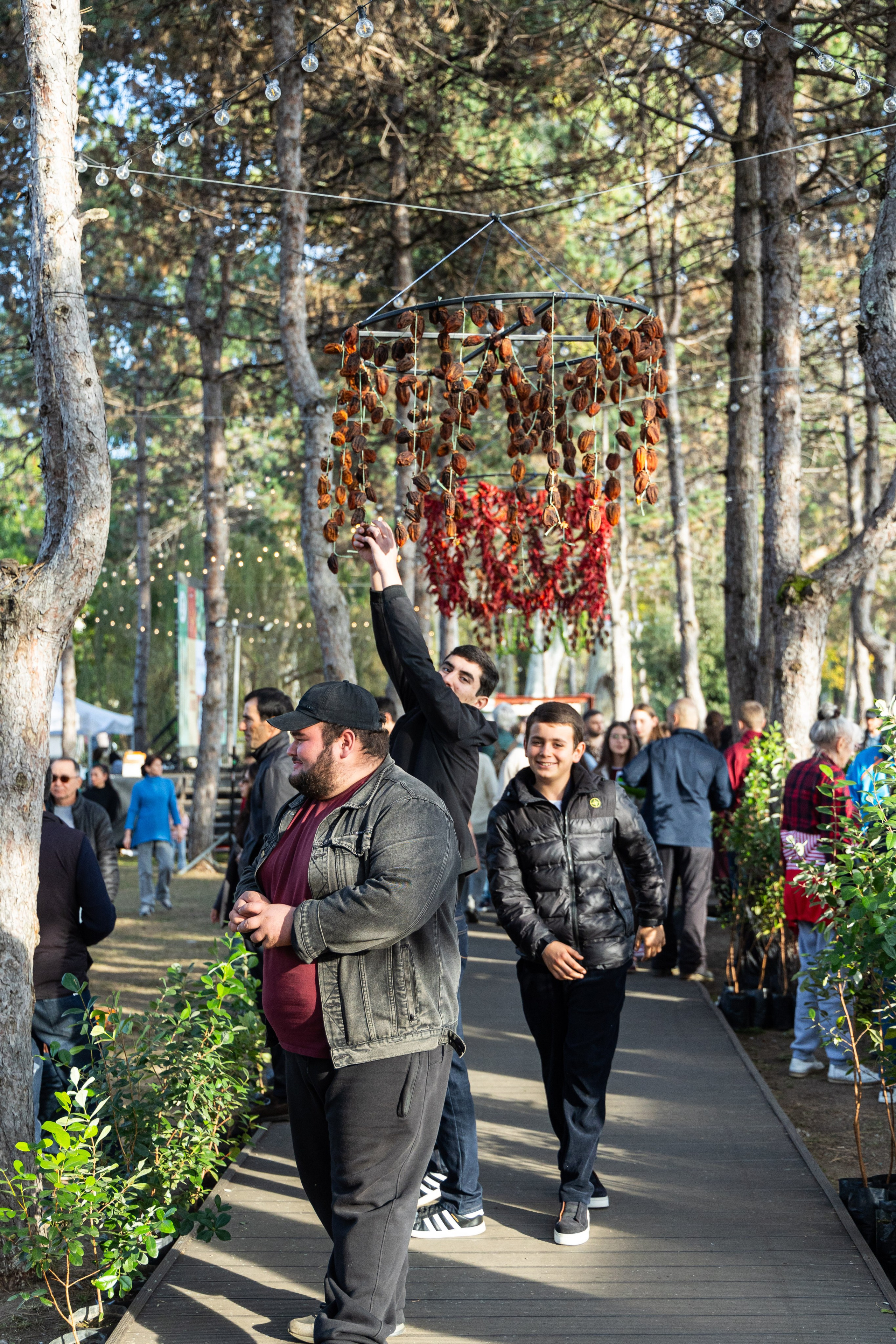 Фестиваль Фейхоа в городе Сухум. Фотограф Красная Поляна — Сочи — Москва