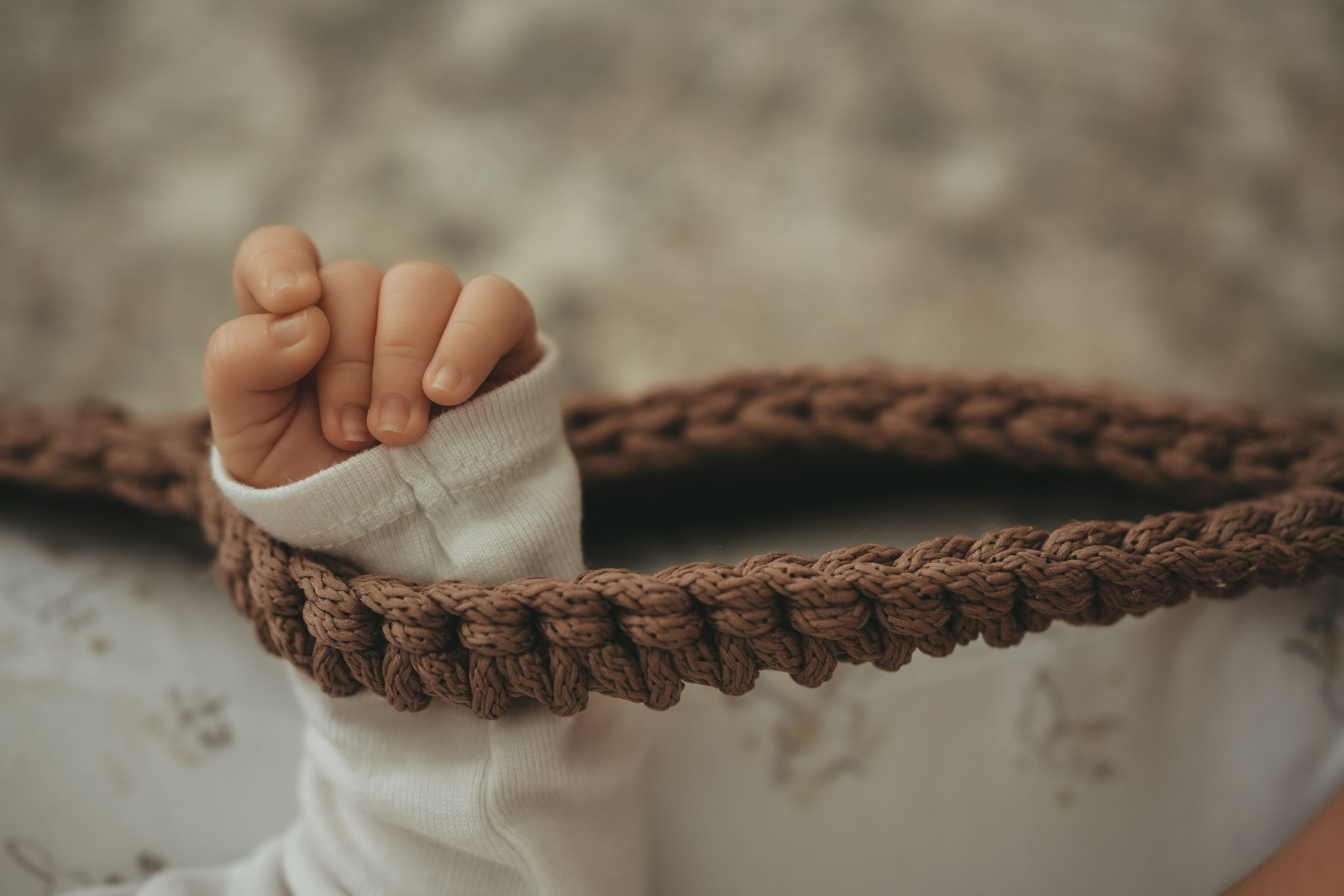 Иван, Мария, Илюша и Майло. Семейный и детский фотограф Плесецк, Мирный Марина Забабурина