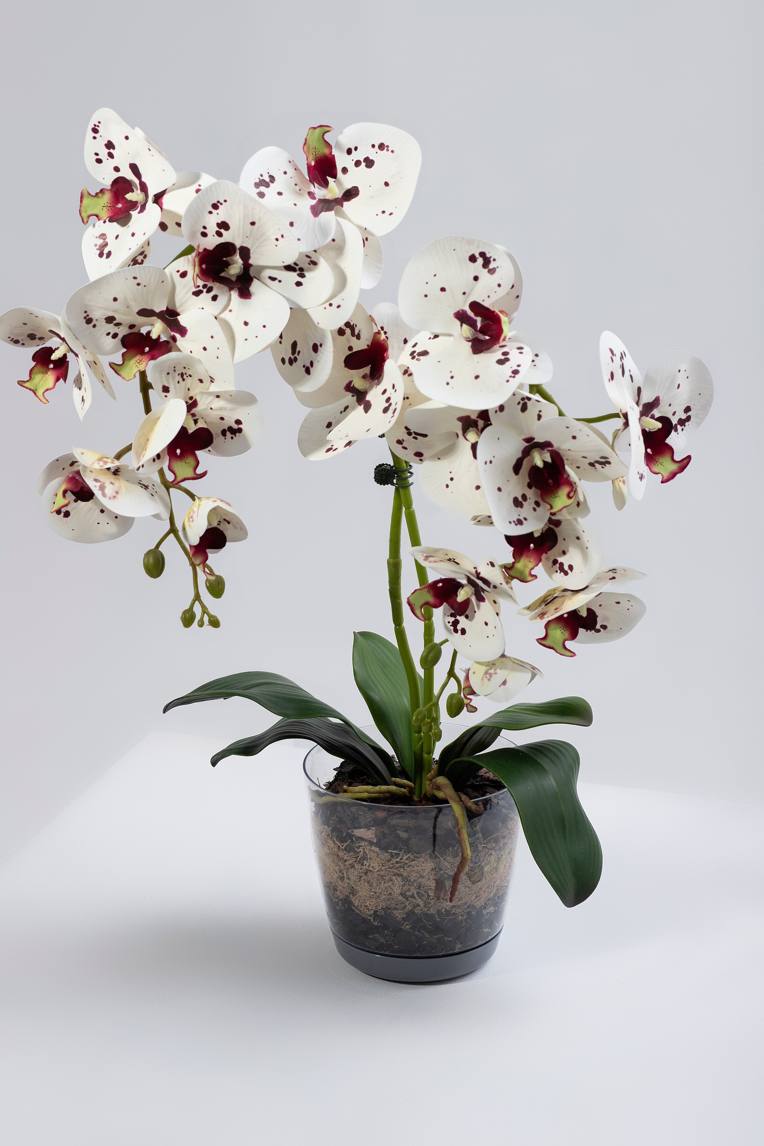 Маркетплейс. Фотограф Пушкино и Москва Анастасия Коган