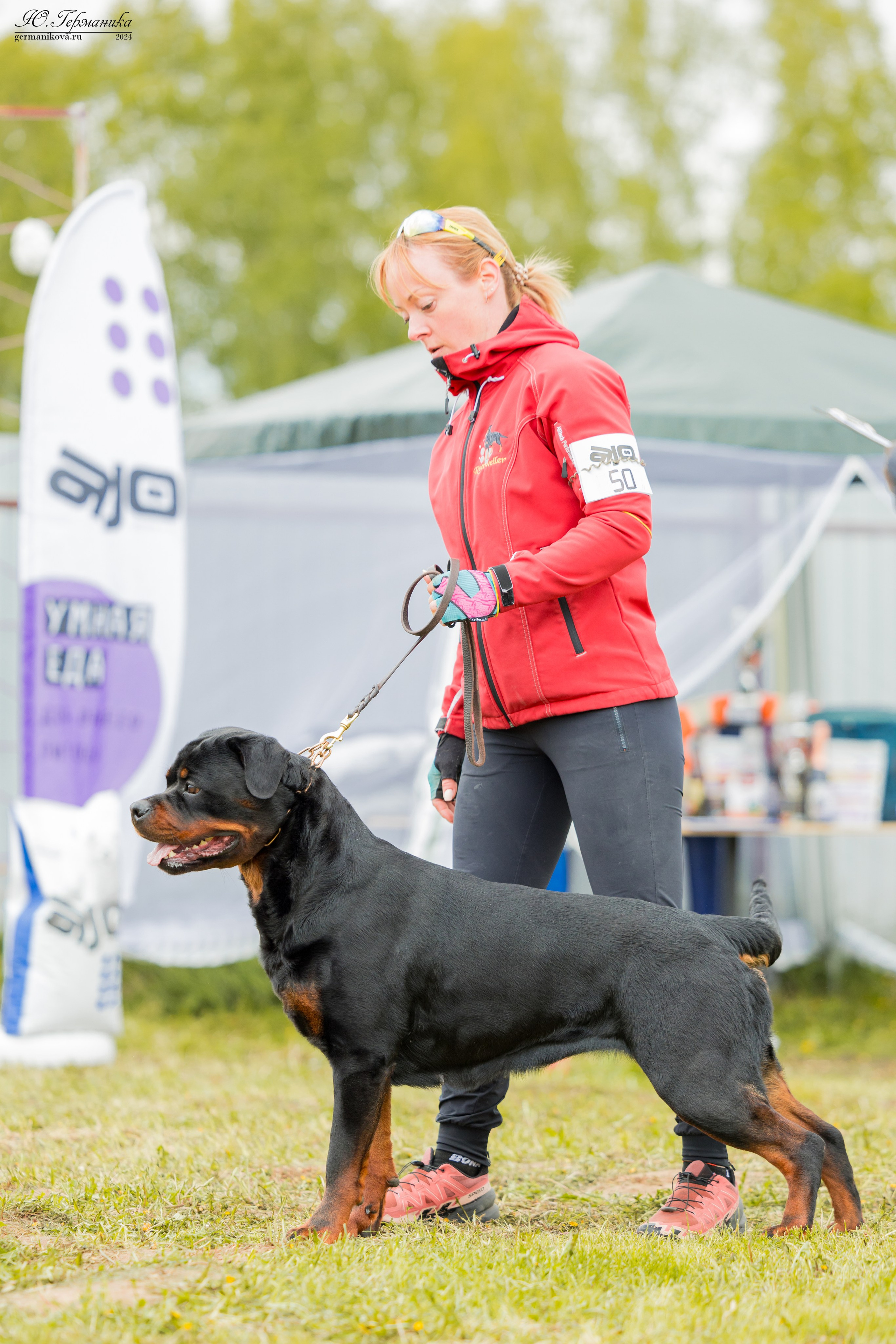 Нижний Новгород 11-12.05.2024 моно ротвейлеров. Фотограф-анималист Юлия Германика
