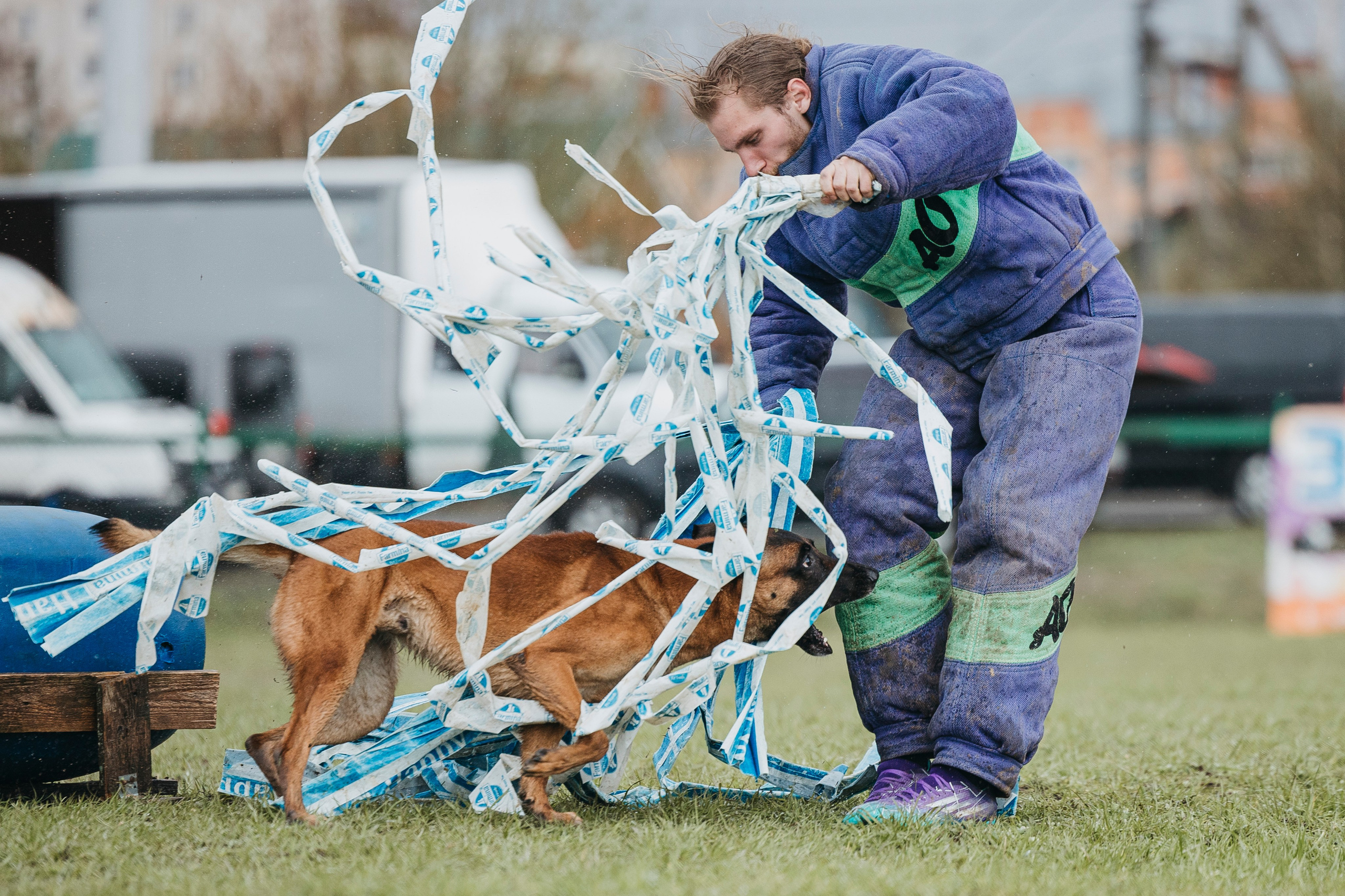 09.05.25 Вологда соревнования. Фотограф-анималист Анна Маринич